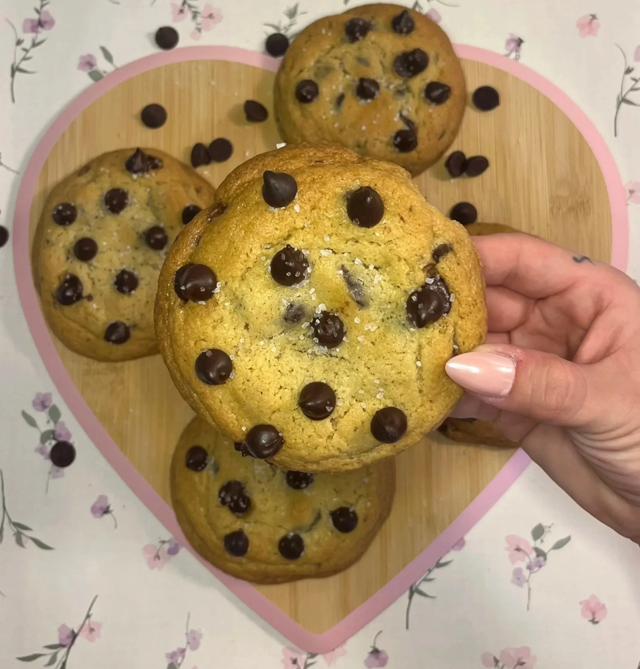 Sea Salt Dark Chocolate Chip