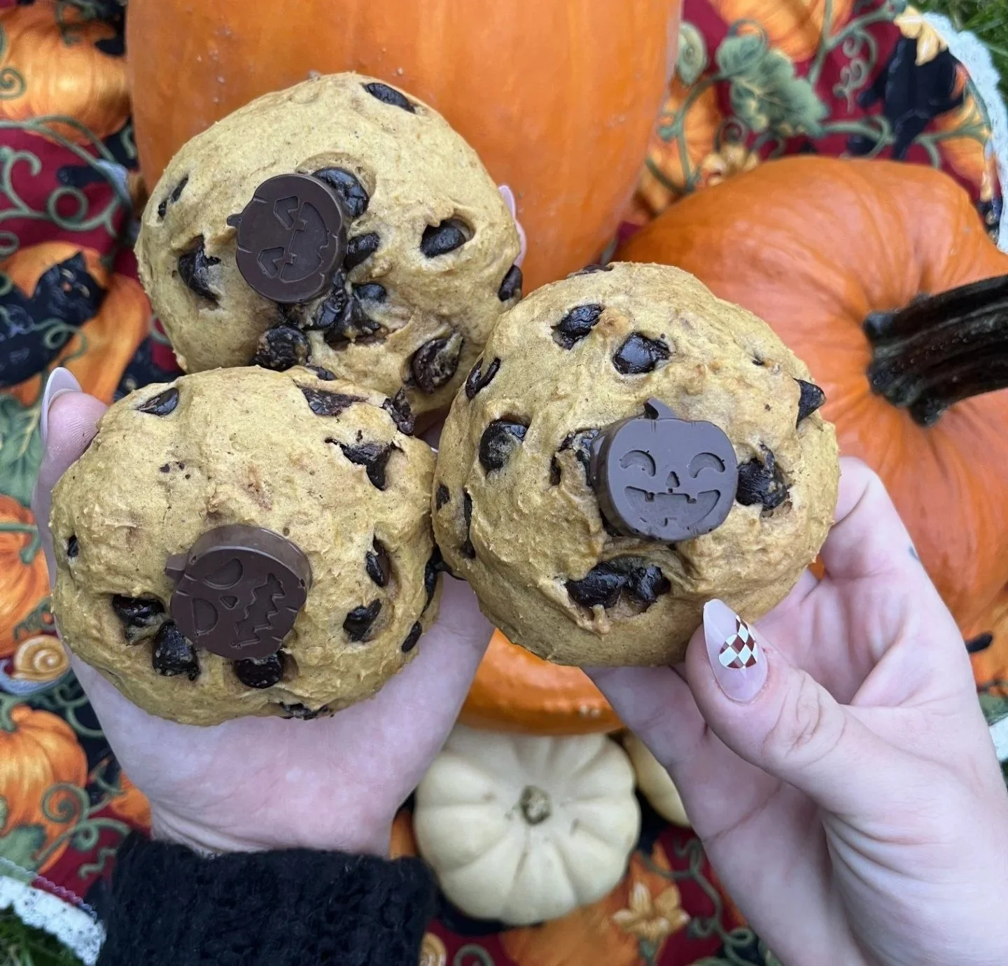 Pumpkin Chocolate Chip - SEASONAL through November