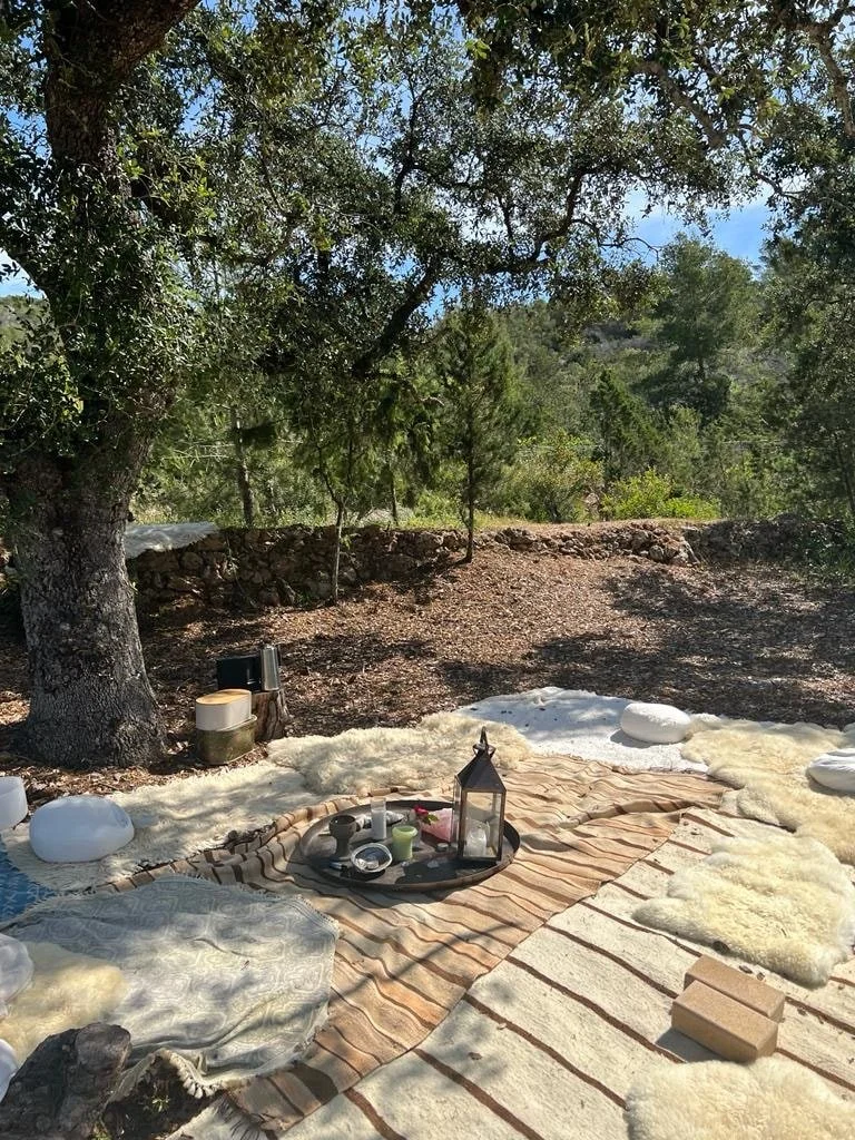 Picknickbereich im Freien unter einem Baum, mit Decken, Sitzkissen und einem Tisch mit Kerzen, Laterne und Geschirr, umgeben von Natur mit Bäumen und Hügeln im Hintergrund.