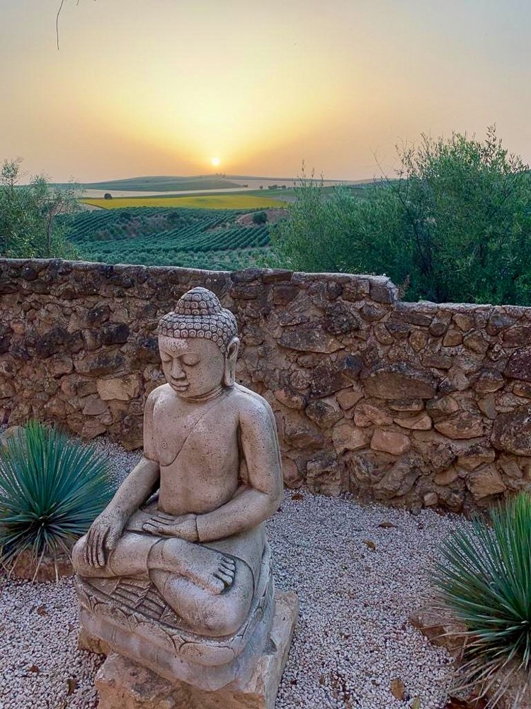Steinerne Buddha-Statue im Garten mit Sonnenuntergang im Hintergrund, umgeben von Steinen und Pflanzen.