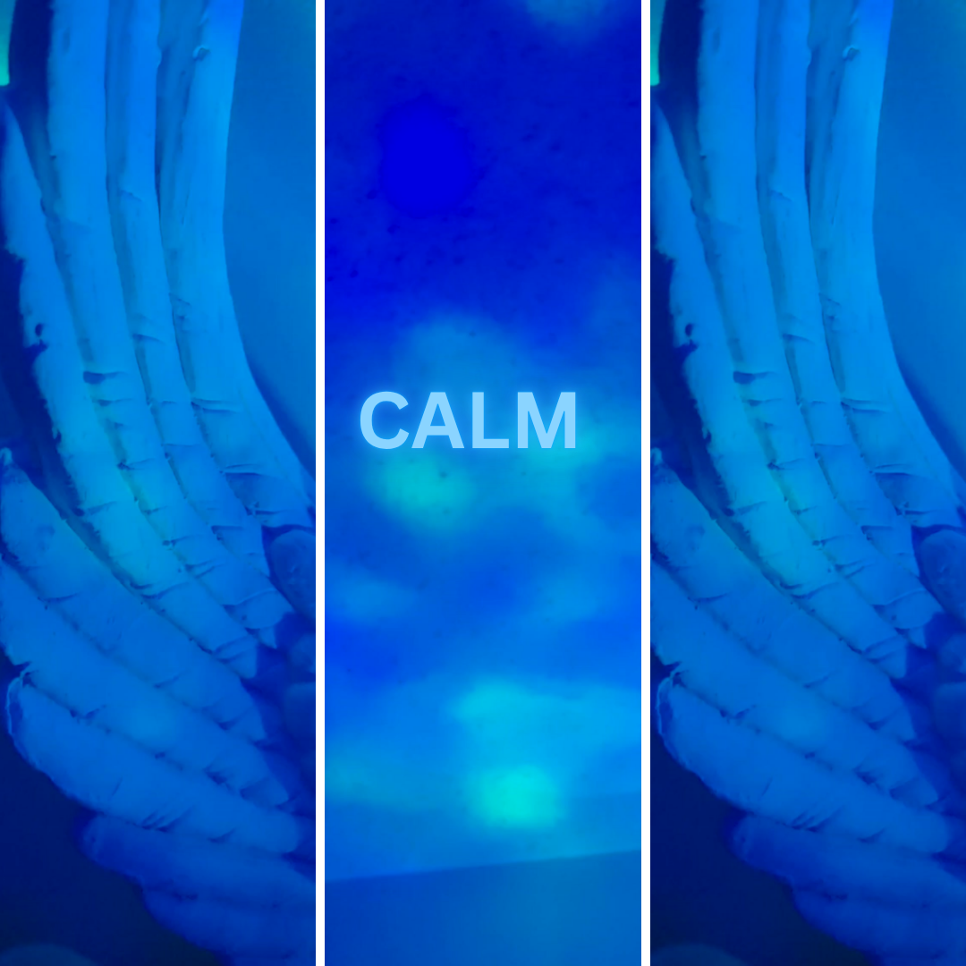 6 (2).png