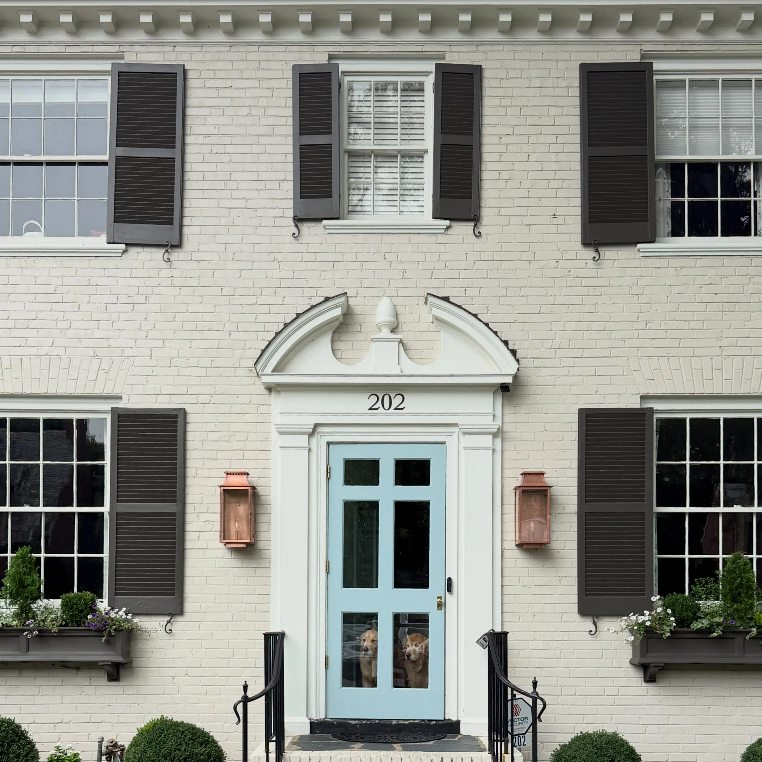 A light refresh for a front entry, featuring two very good pups. 😁