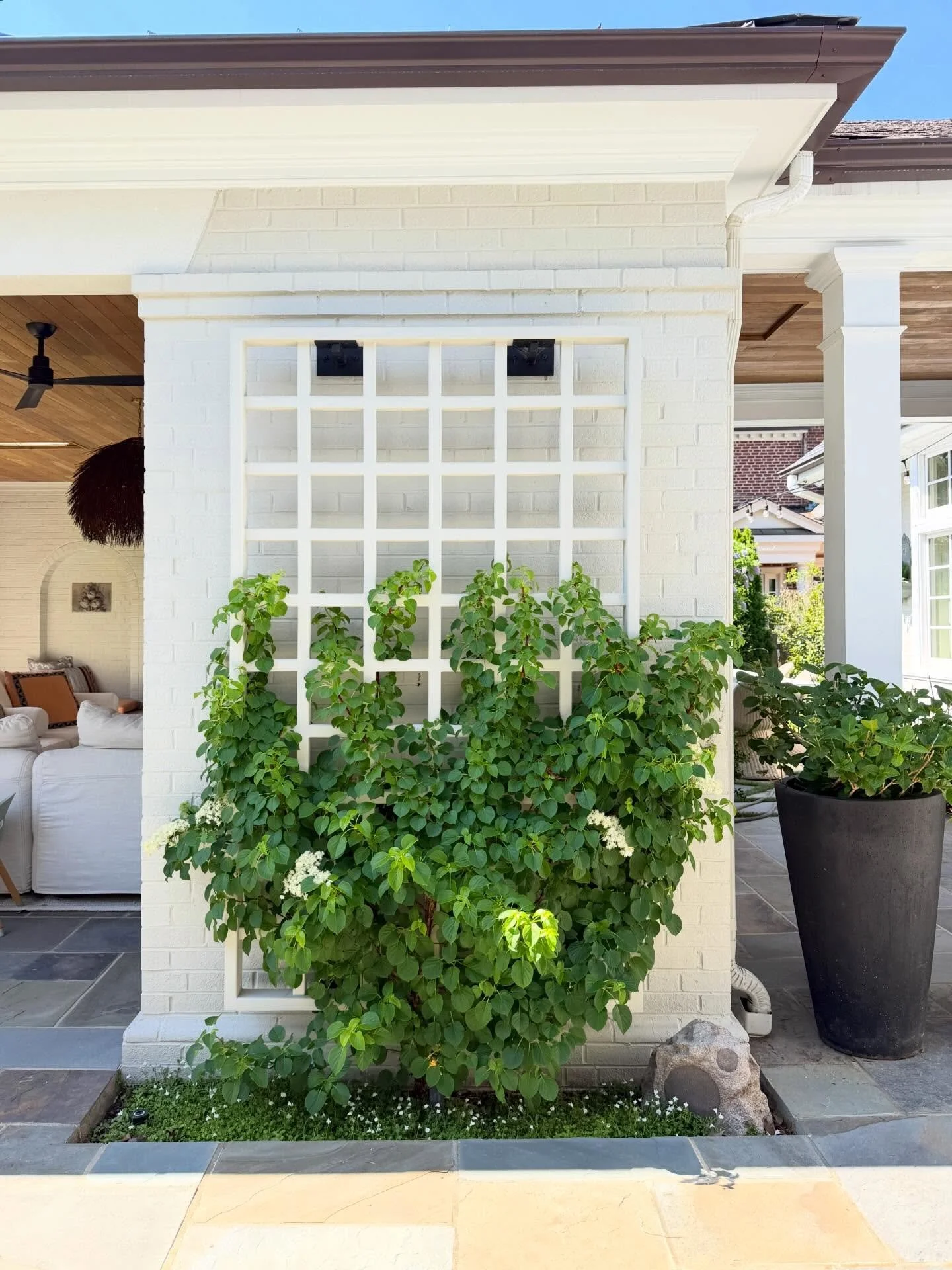 These plantings - and the homeowners - have settled into this magical backyard space quite nicely!

Custom trellises by @noetic_woodwork 😁🌿