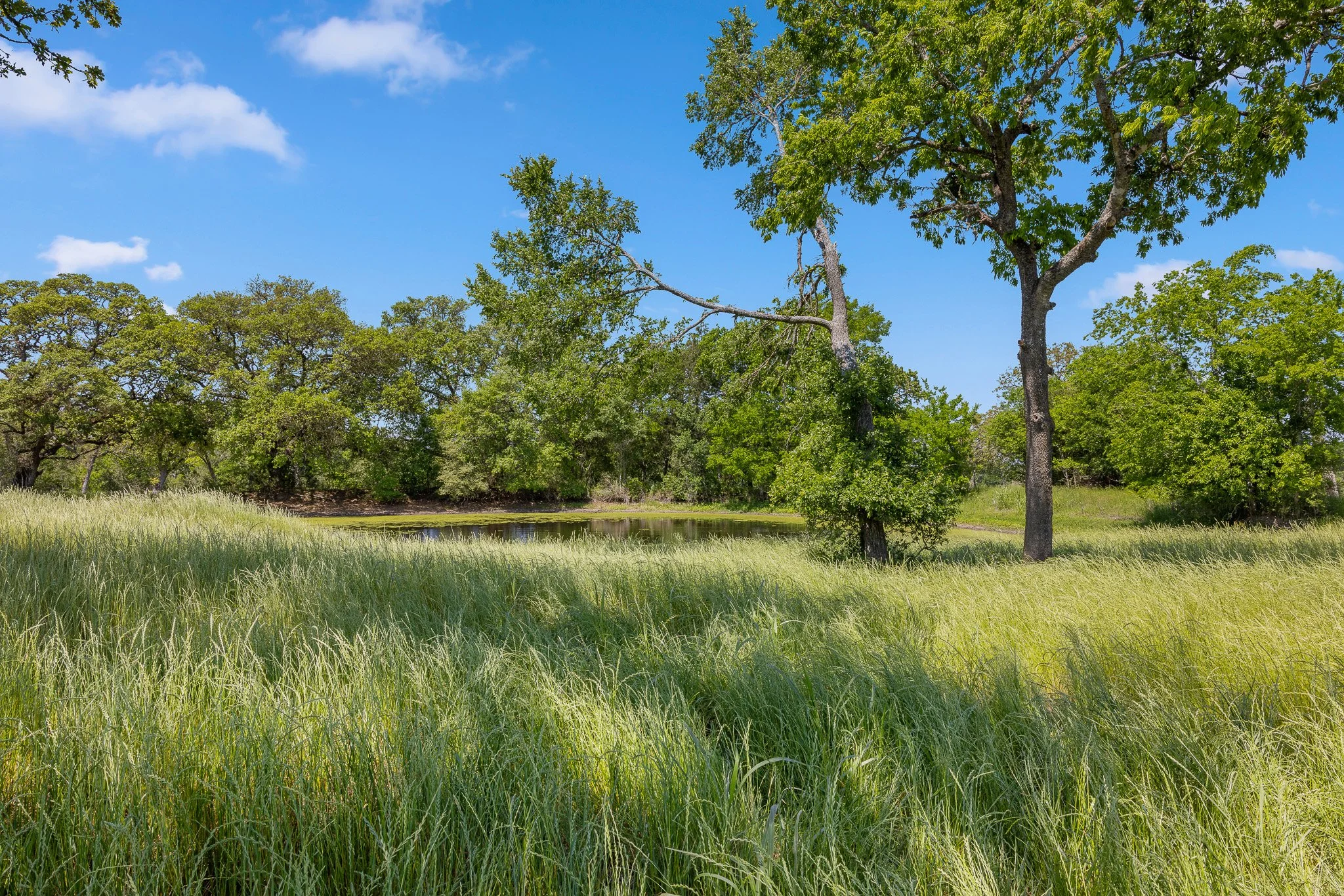 37_4-11-25 (jan carroll- 2730 wunderlich rd, fayetteville-photos)_063.jpg
