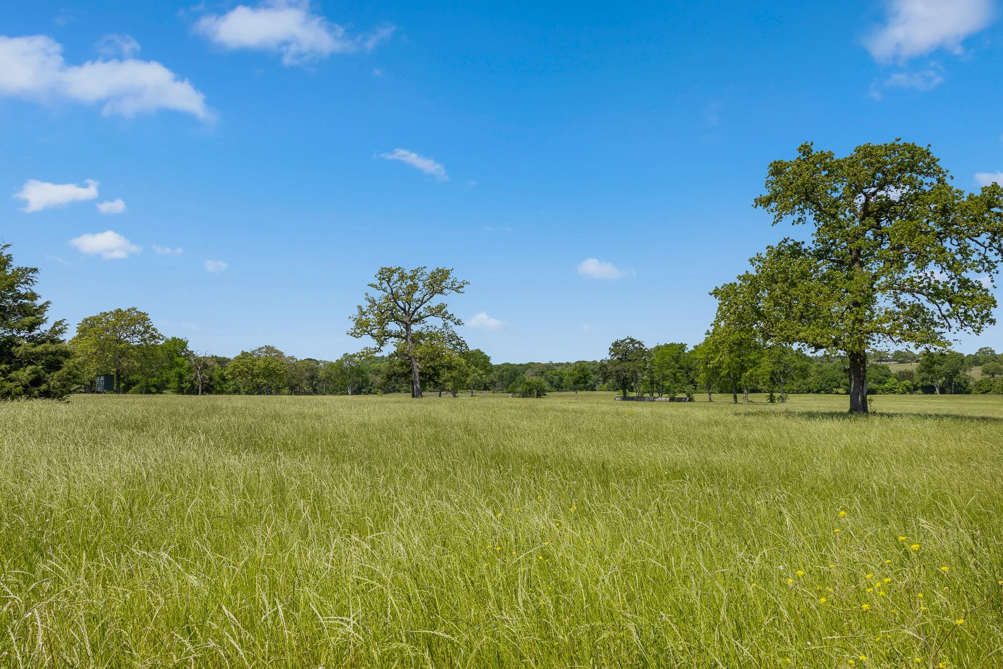 39_4-11-25 (jan carroll- 2730 wunderlich rd, fayetteville-photos)_065.jpg