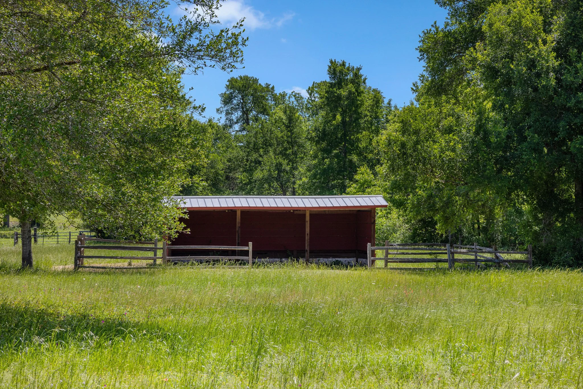 44_4-11-25 (jan carroll- 2730 wunderlich rd, fayetteville-photos)_070.jpg