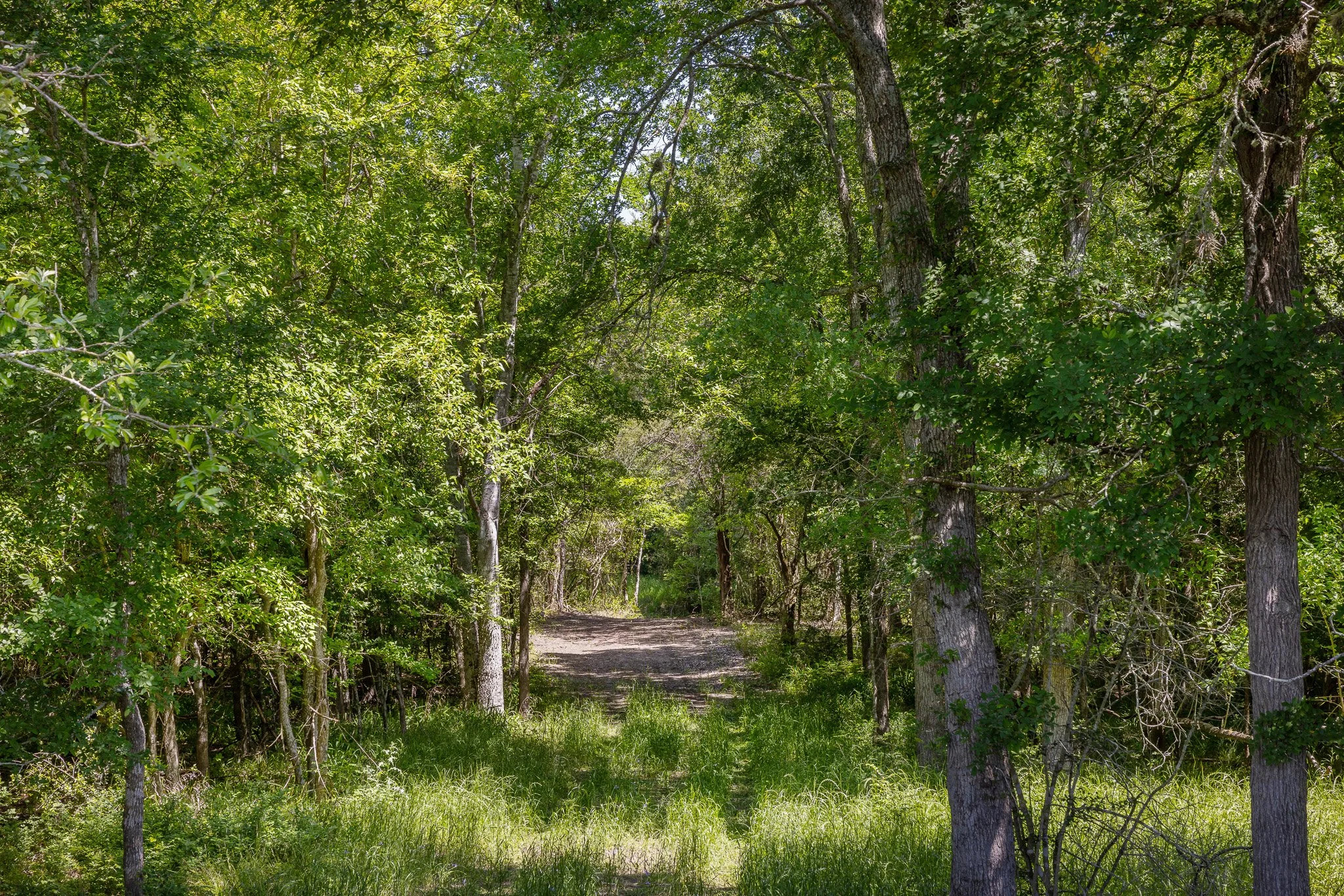 41_4-11-25 (jan carroll- 2730 wunderlich rd, fayetteville-photos)_067.jpg