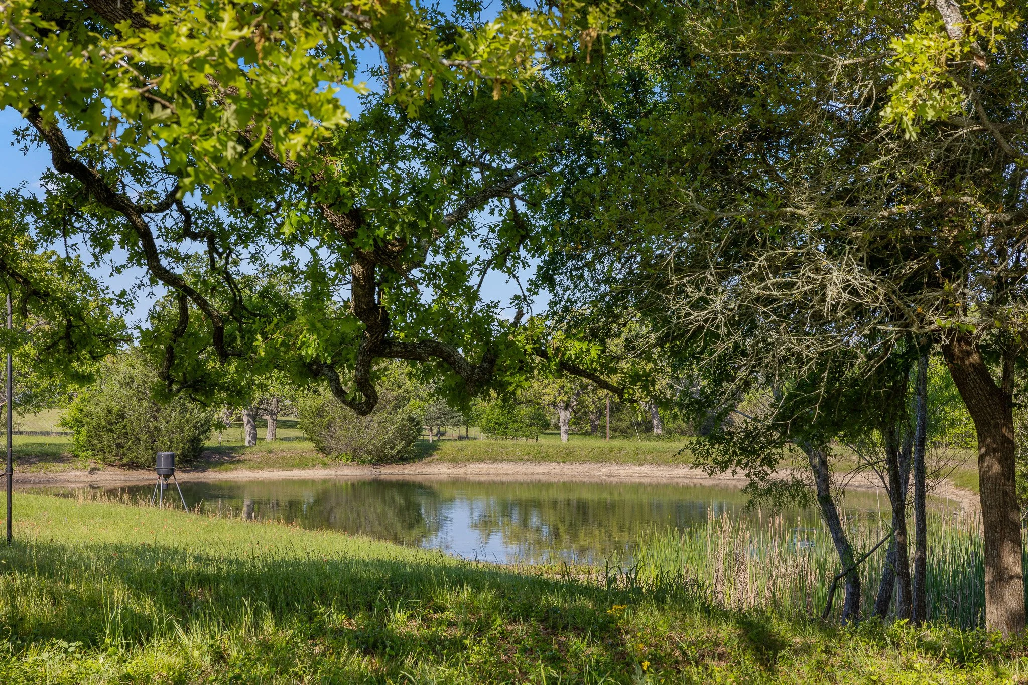 19_4-11-25 (jan carroll- 2730 wunderlich rd, fayetteville-photos)_045.jpg