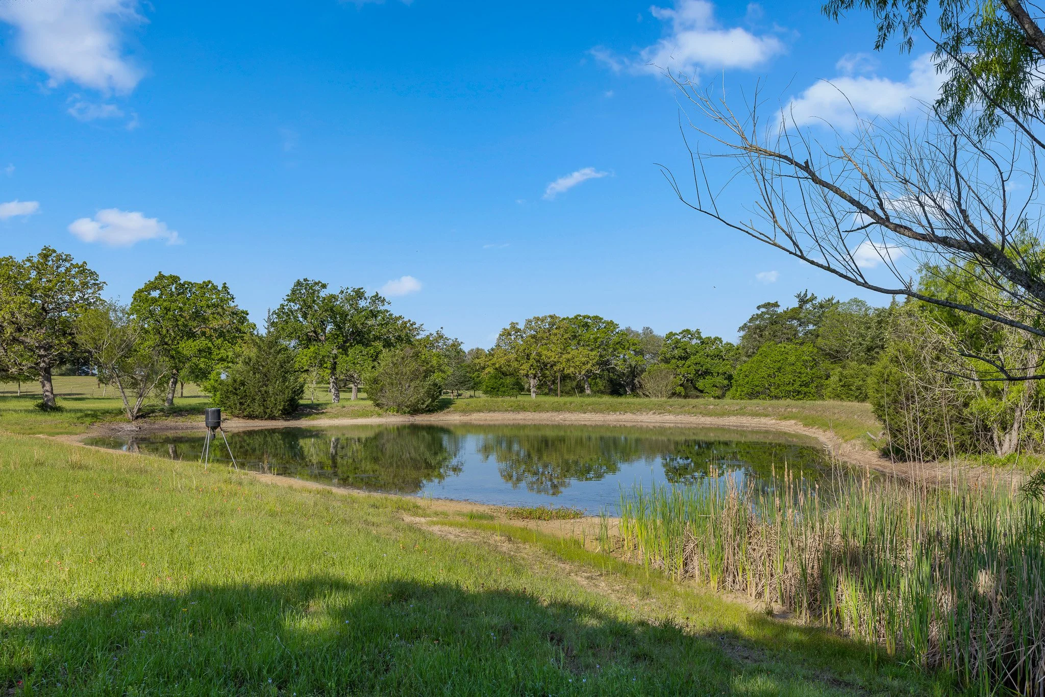 16_4-11-25 (jan carroll- 2730 wunderlich rd, fayetteville-photos)_042.jpg