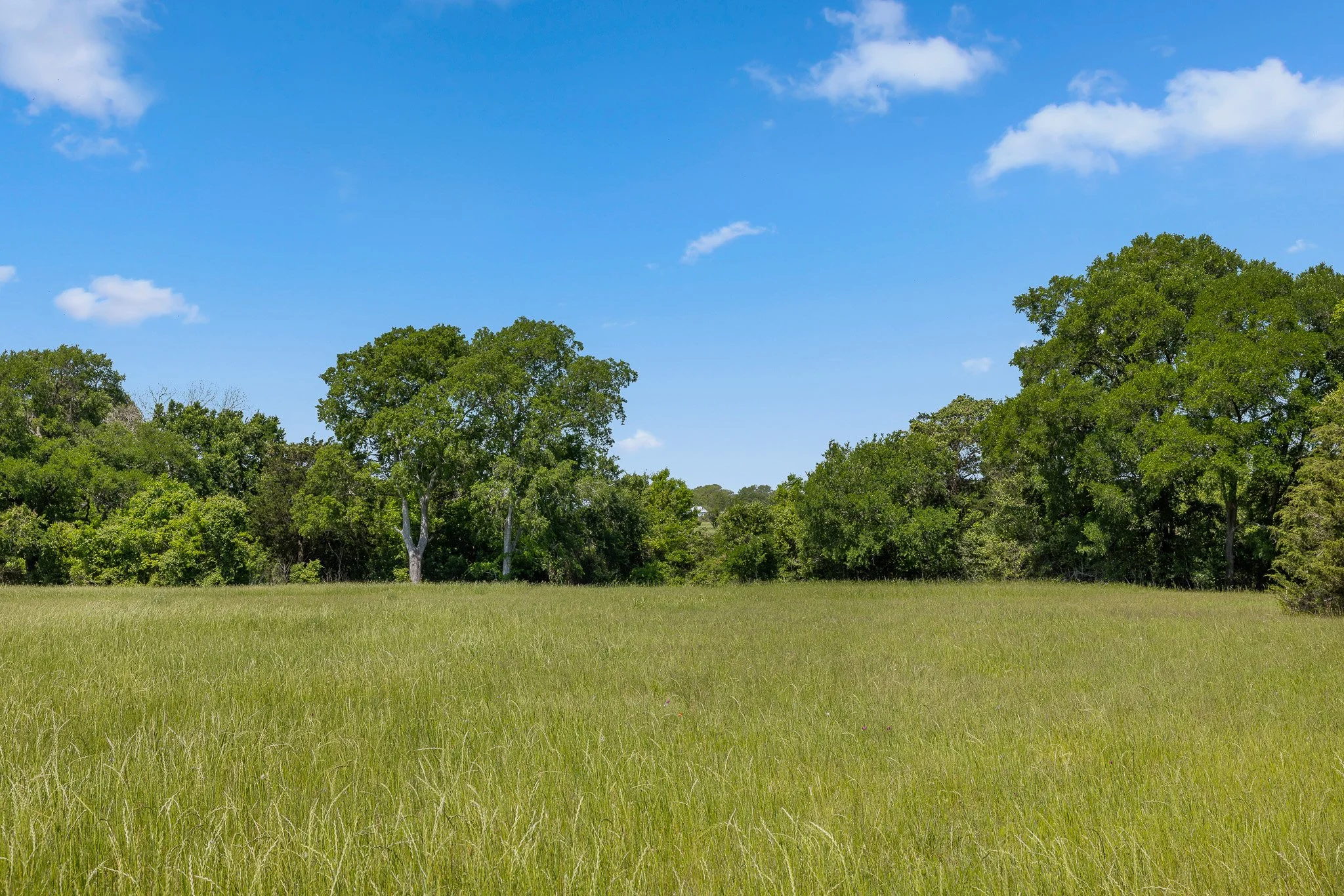40_4-11-25 (jan carroll- 2730 wunderlich rd, fayetteville-photos)_066.jpg