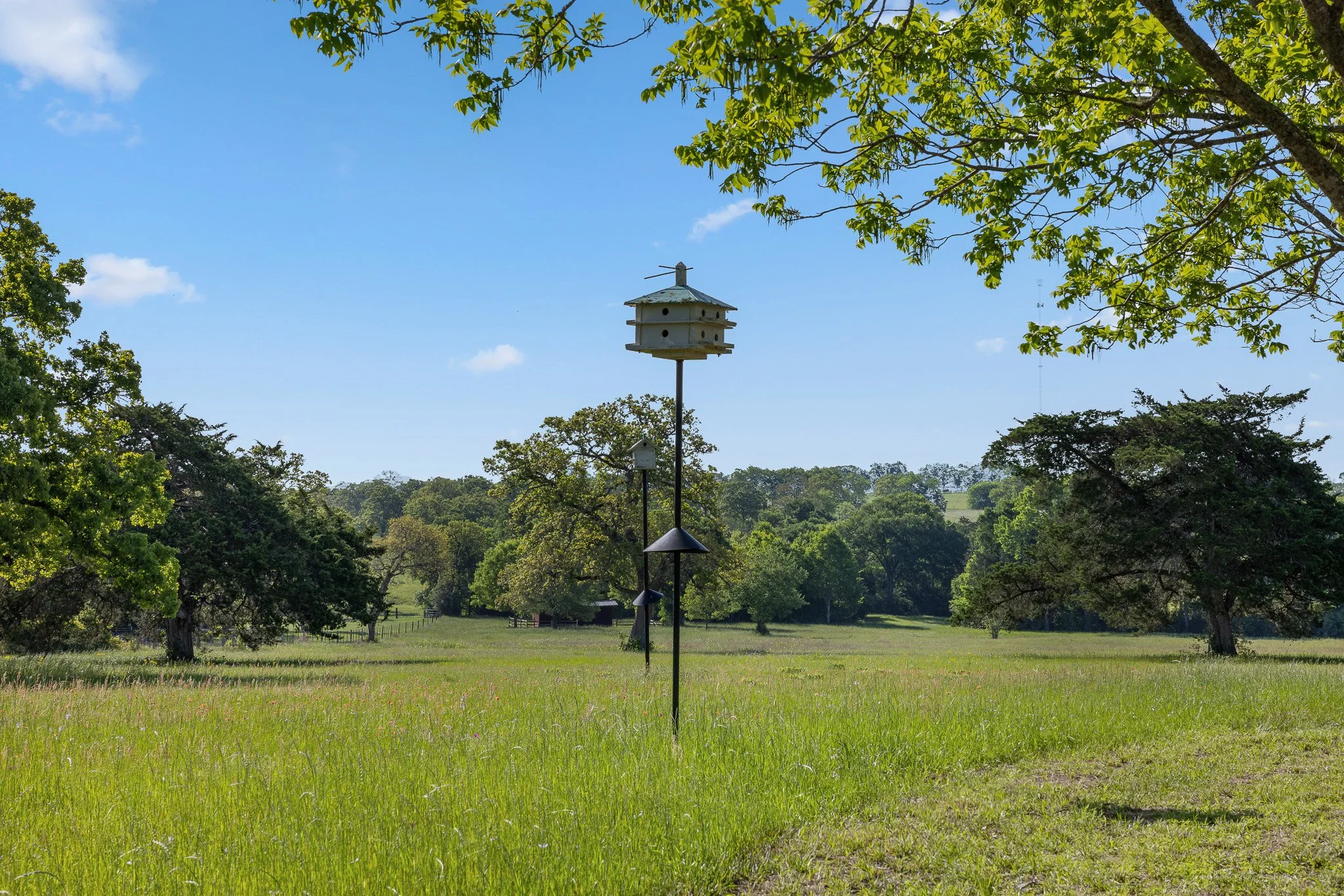 20_4-11-25 (jan carroll- 2730 wunderlich rd, fayetteville-photos)_046.jpg