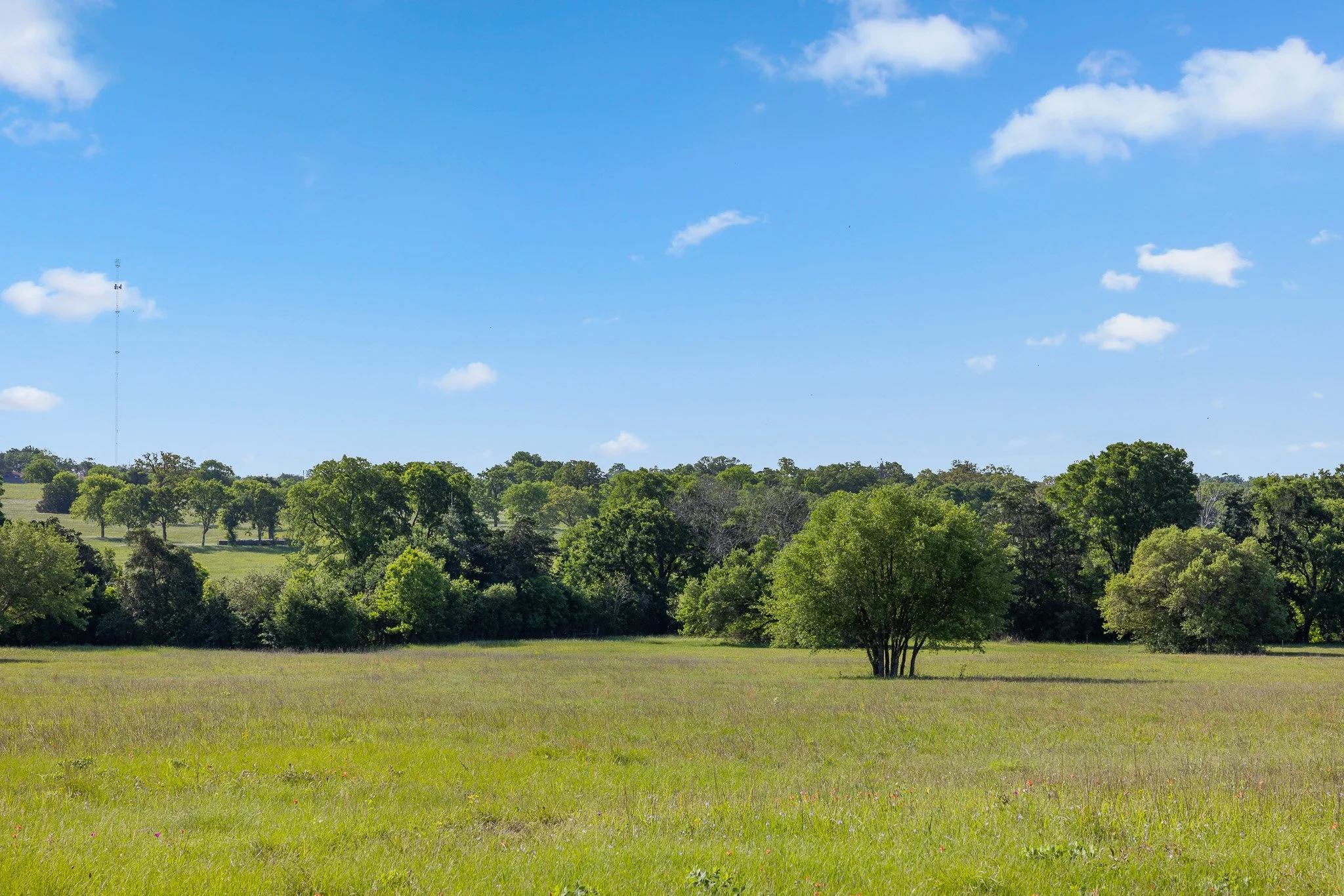 30_4-11-25 (jan carroll- 2730 wunderlich rd, fayetteville-photos)_056.jpg