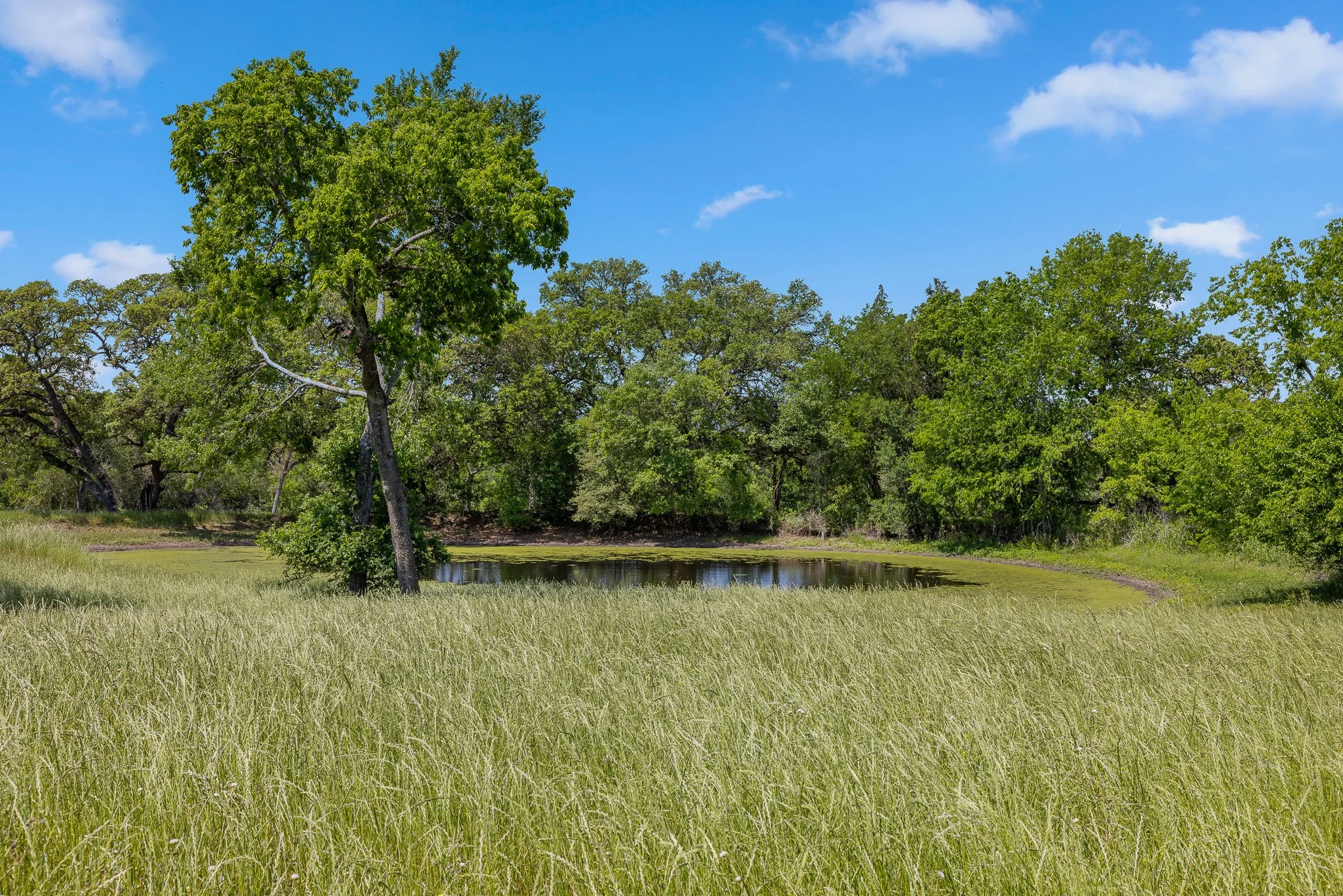34_4-11-25 (jan carroll- 2730 wunderlich rd, fayetteville-photos)_060.jpg
