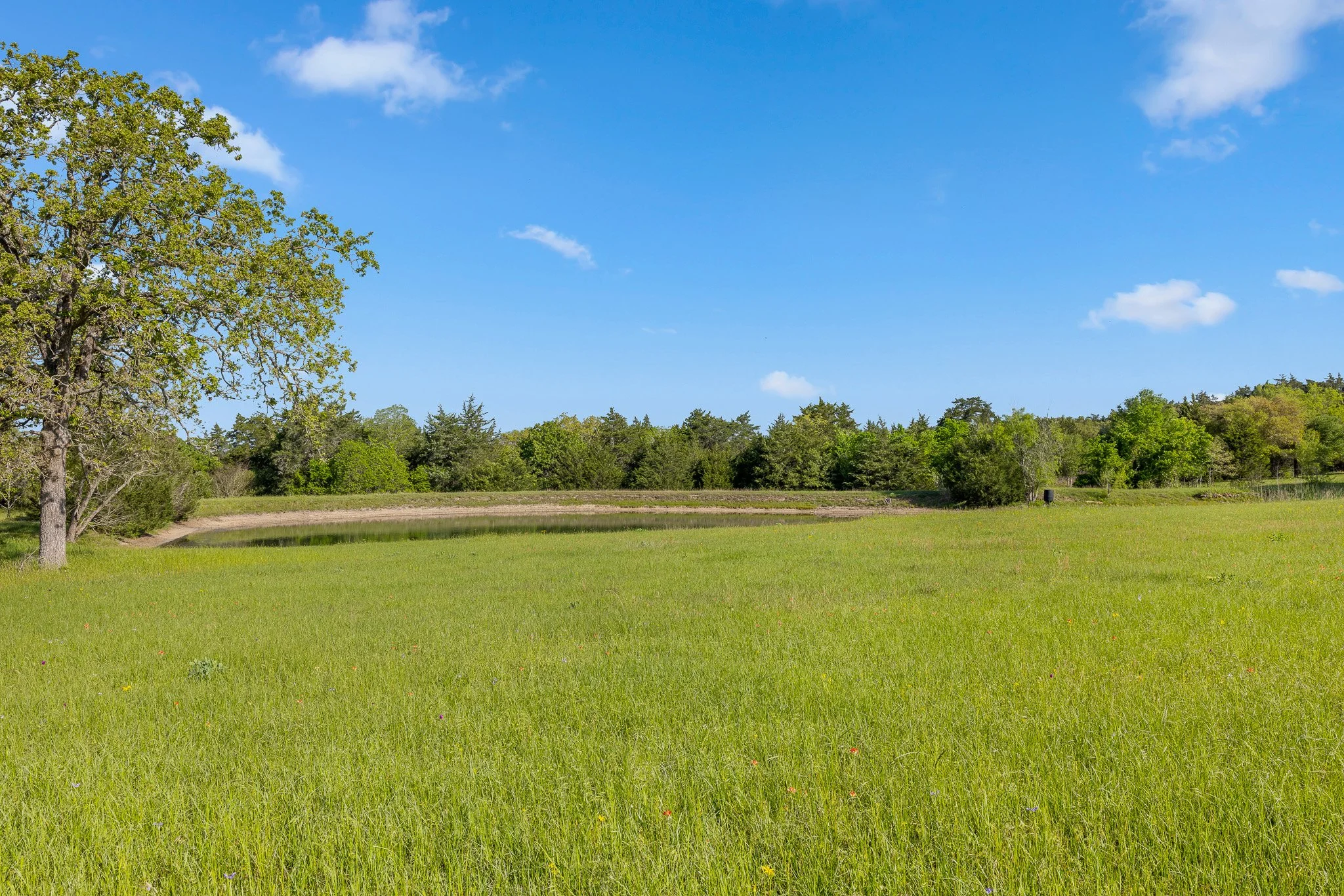 13_4-11-25 (jan carroll- 2730 wunderlich rd, fayetteville-photos)_039.jpg