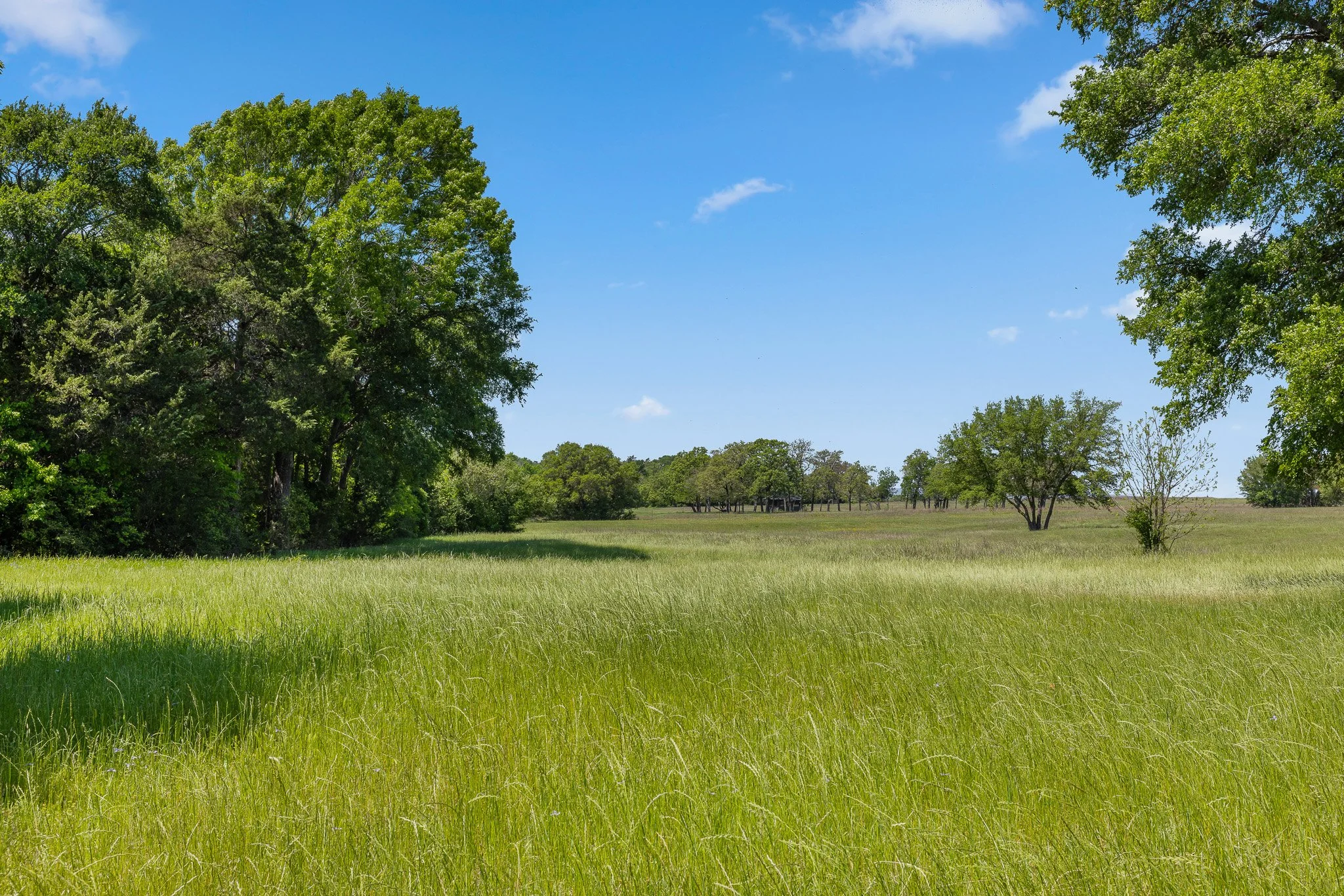 43_4-11-25 (jan carroll- 2730 wunderlich rd, fayetteville-photos)_069.jpg
