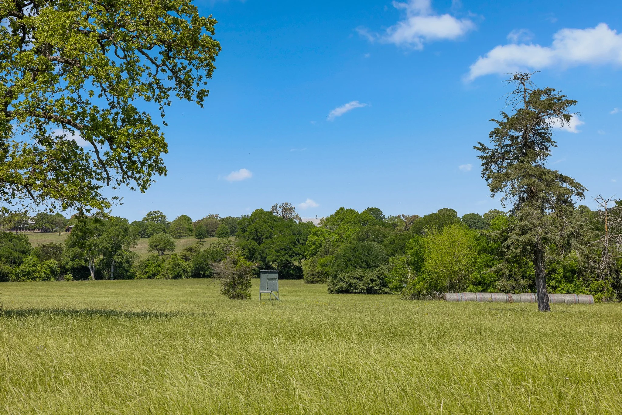38_4-11-25 (jan carroll- 2730 wunderlich rd, fayetteville-photos)_064.jpg