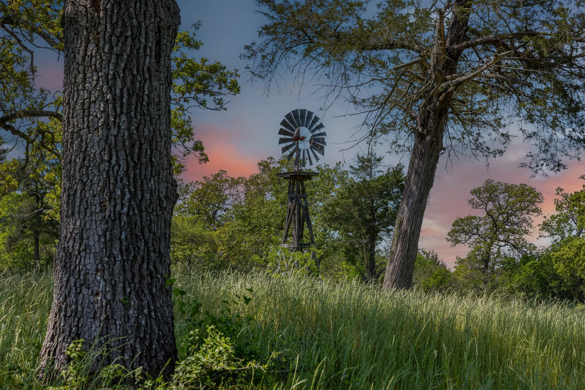 46_4-11-25 (jan carroll- 2730 wunderlich rd, fayetteville-photos)_001 (2).jpg