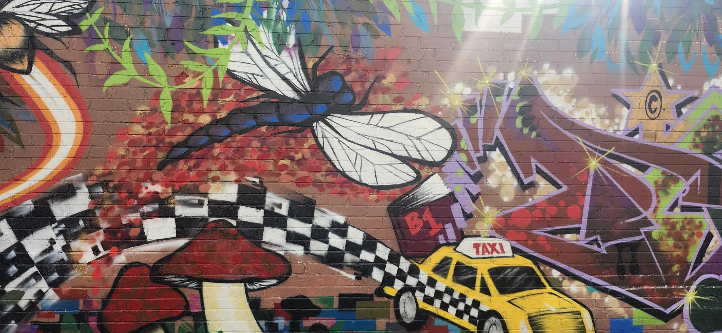 20260917_095406.jpg