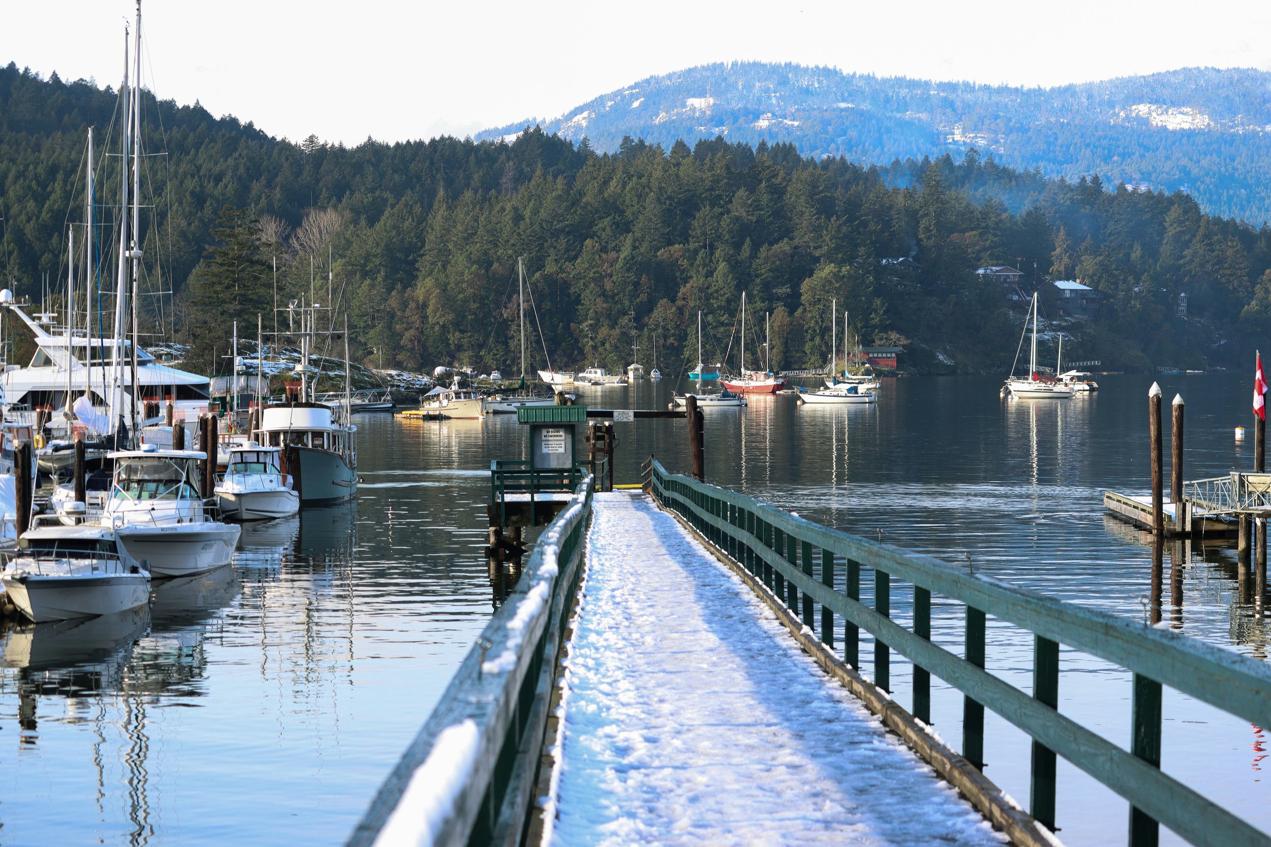 Snow-covered dock extends into a calm lake with boats moored on either side, surrounded by green pine trees and snow-capped mountains in the distance.