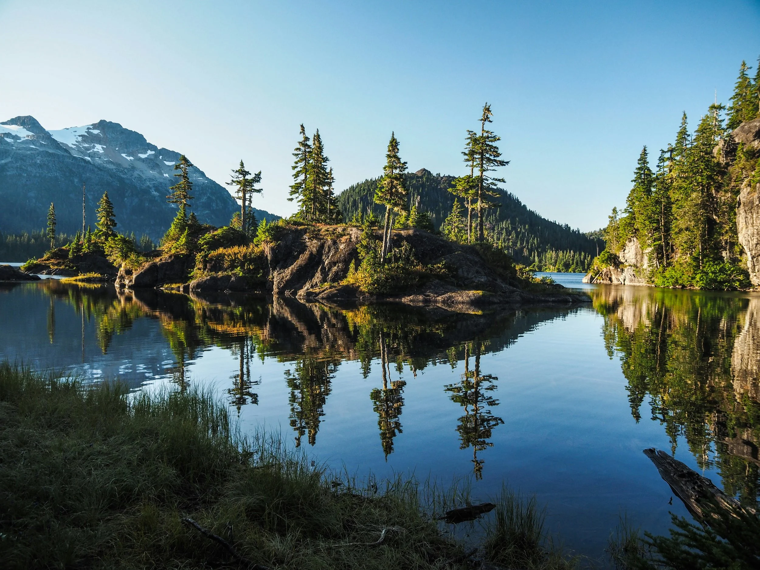 A peaceful mountain landscape with tall pine trees along the edge of a calm lake, mountain peaks with snow in the background, and a clear blue sky.