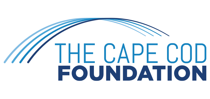 Close-up of a logo with blue, pink, and dark blue elements.