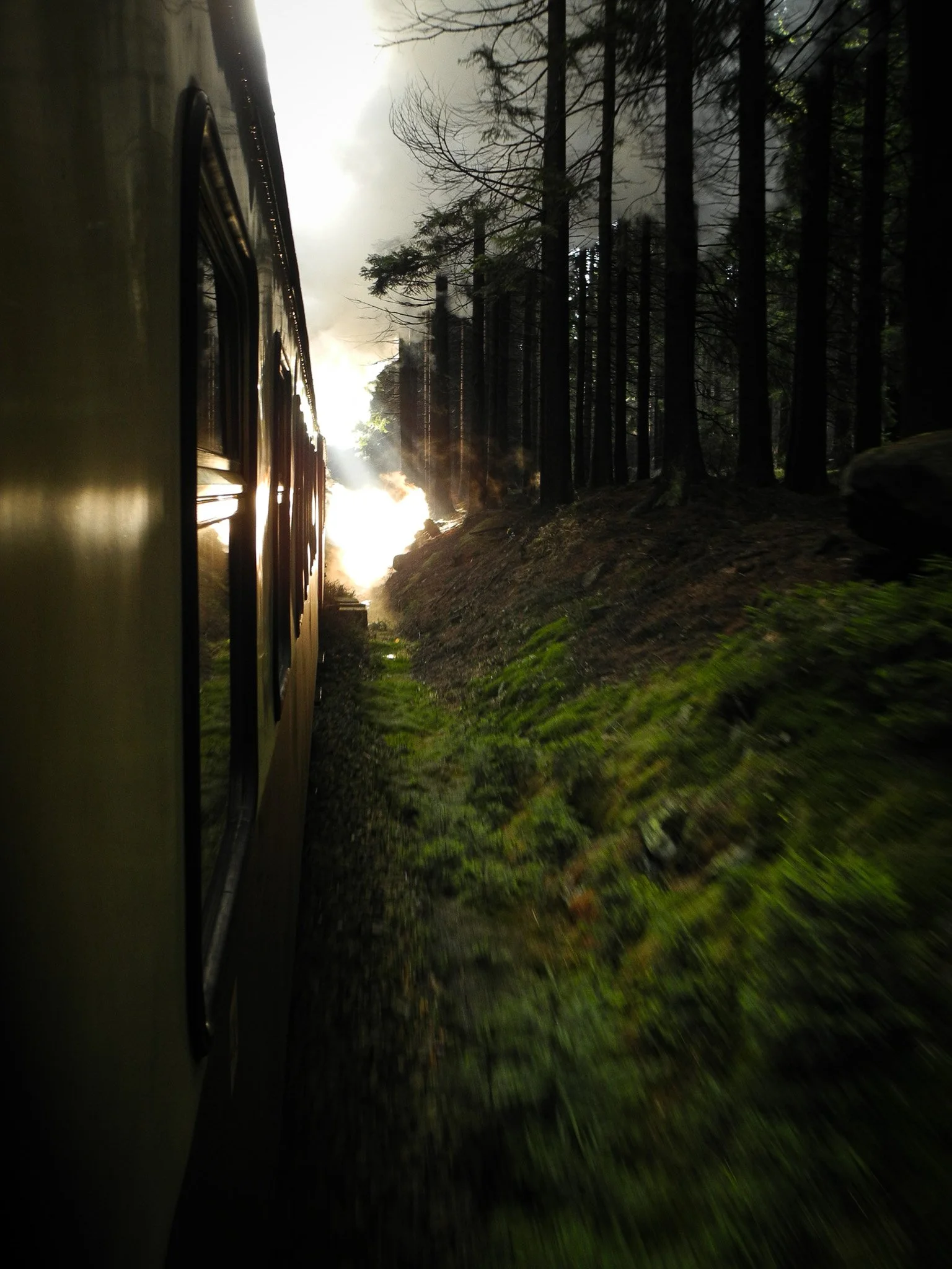 DSCN1052.jpg