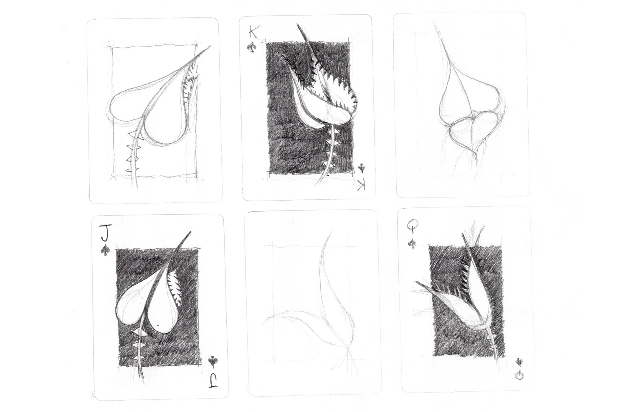 0WEB_CoLab_wyldecards_process005.jpg