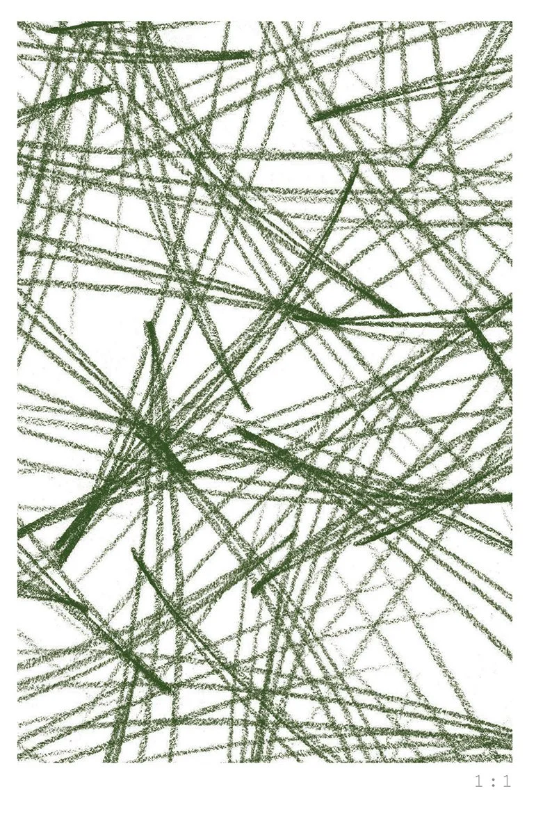 WEB_Longlead1-1_green.jpg