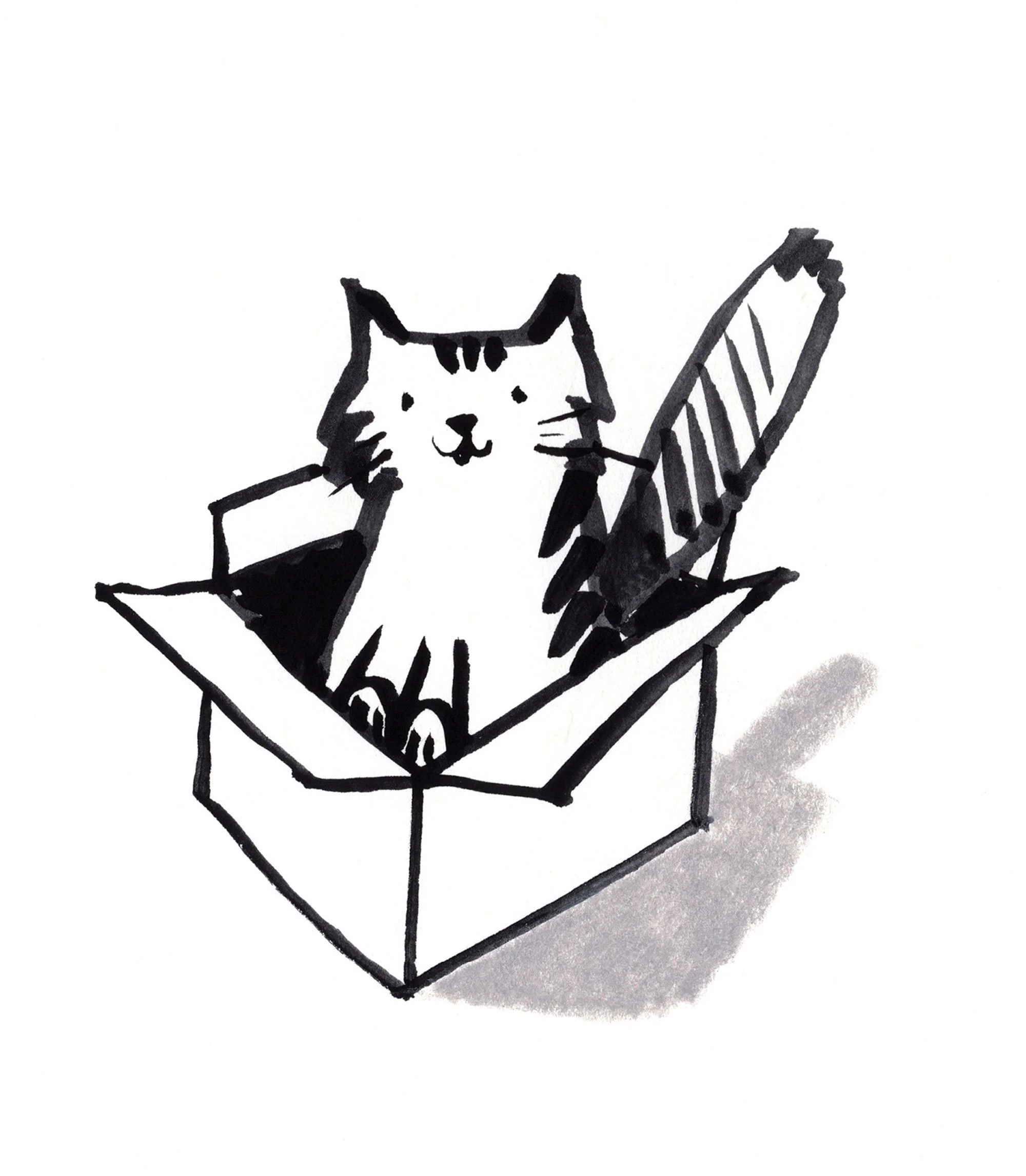 0_WEB_catinbox.jpg