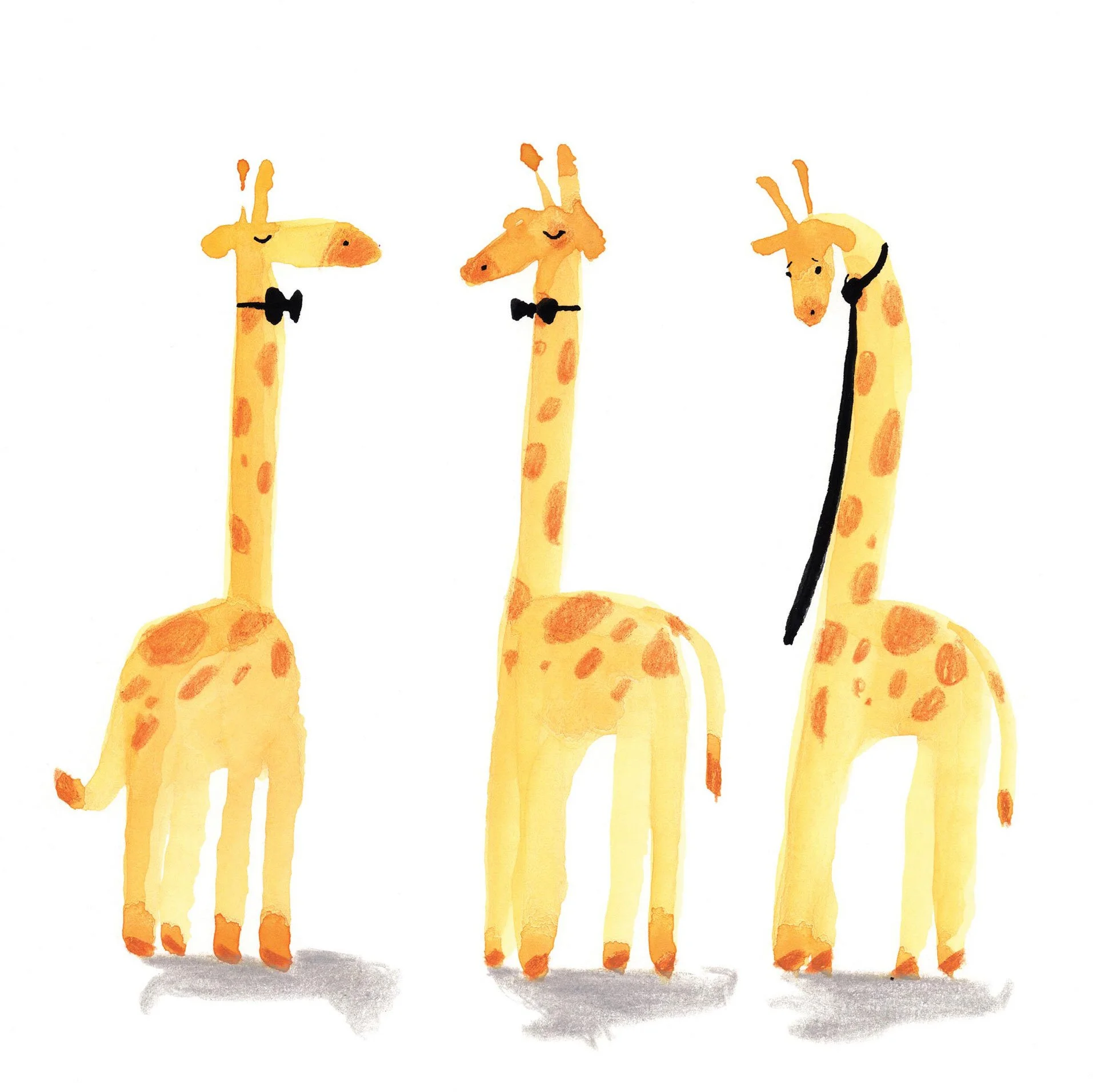 CLAIRECRAVEN_blacktiegiraffes.jpg