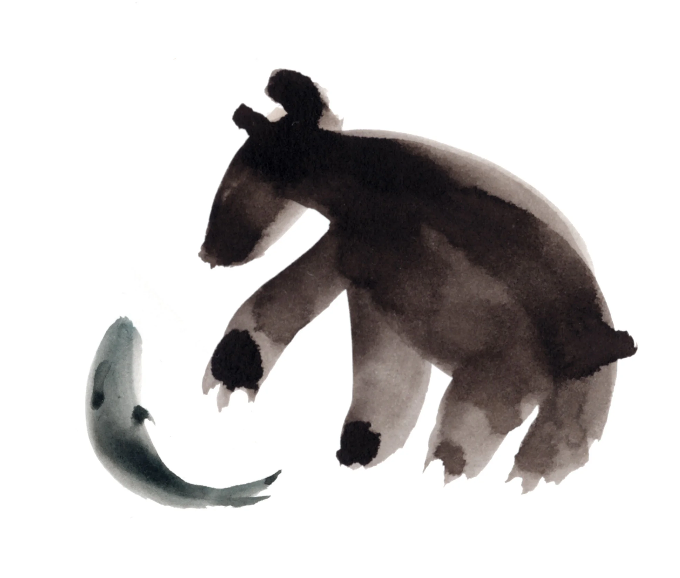 bear005.jpg