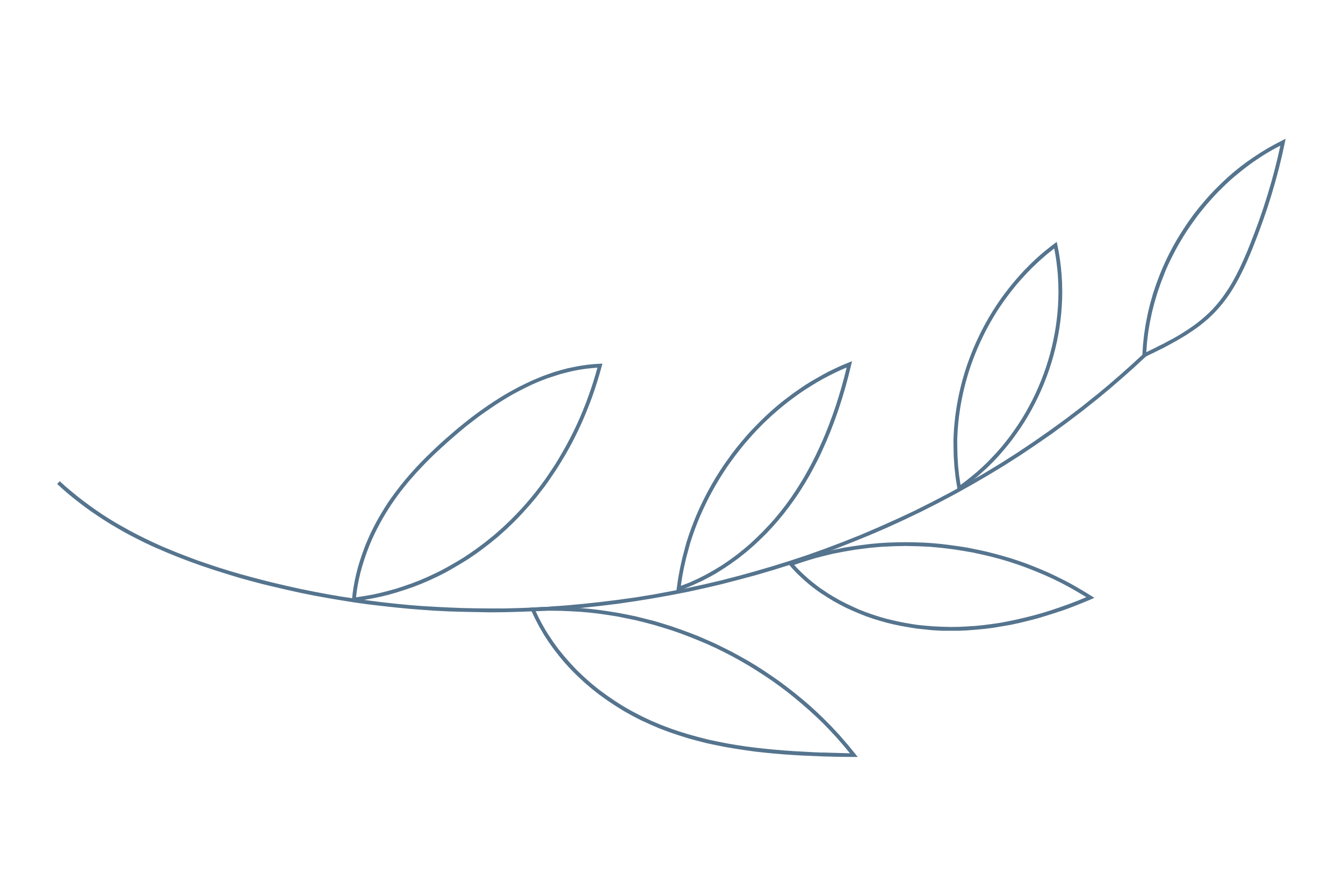 Outline of a branch with leaves on a black background.