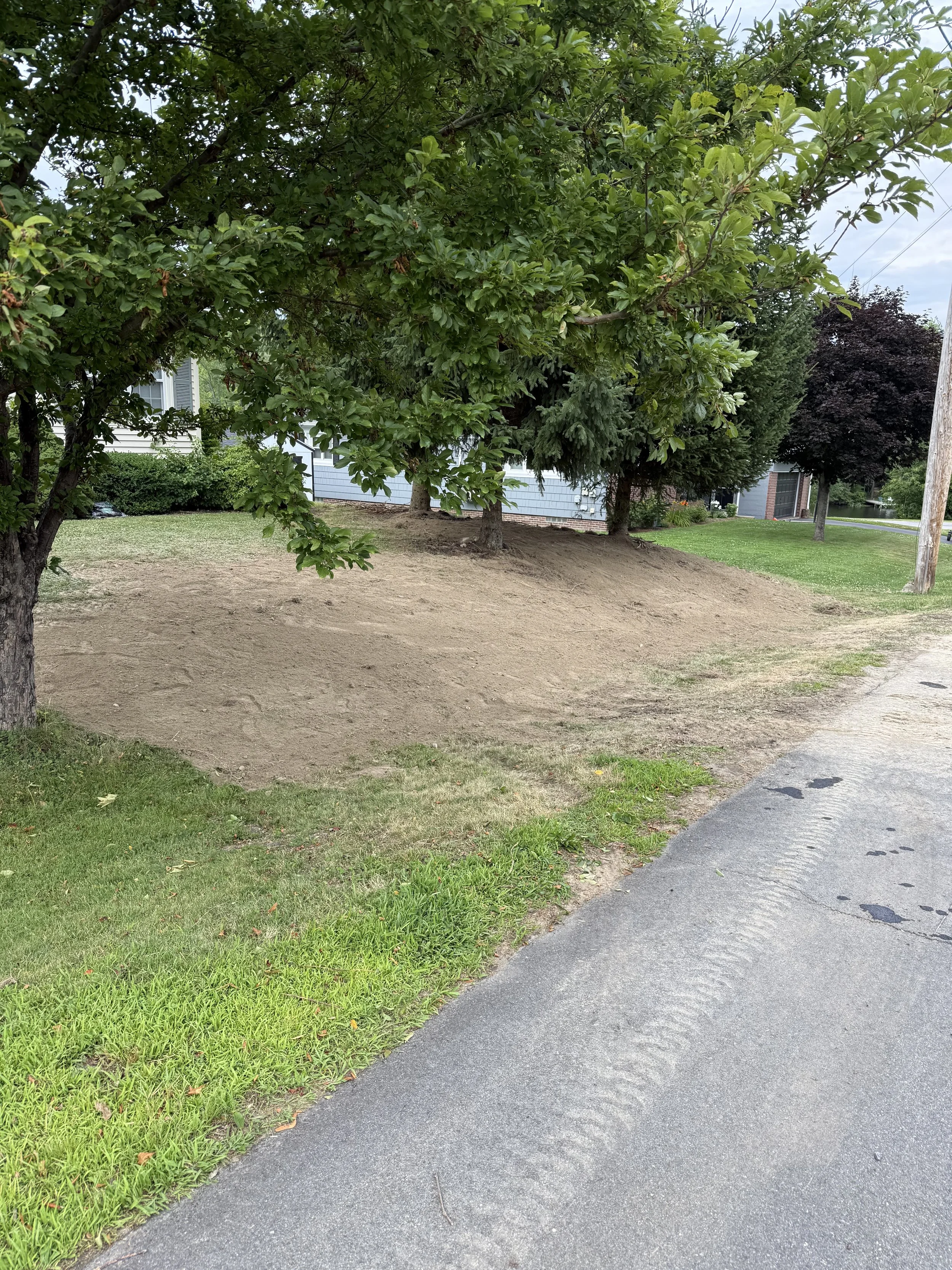 ground shrub removal and loam job