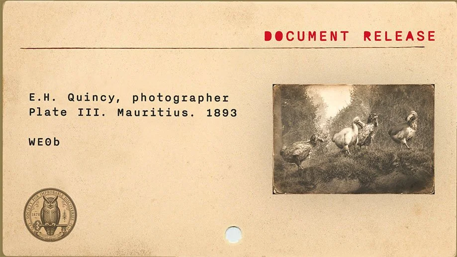 Quincy Dodo Plate III - WE0a