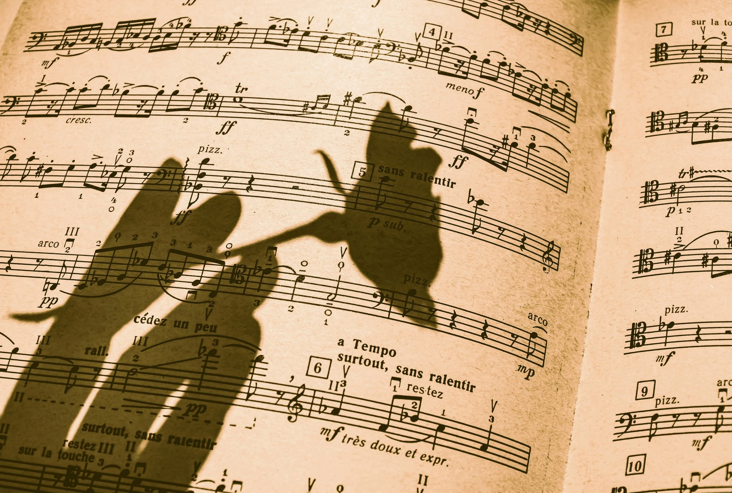 Close-up of a sheet of music with shadowy hand gestures cast on it.