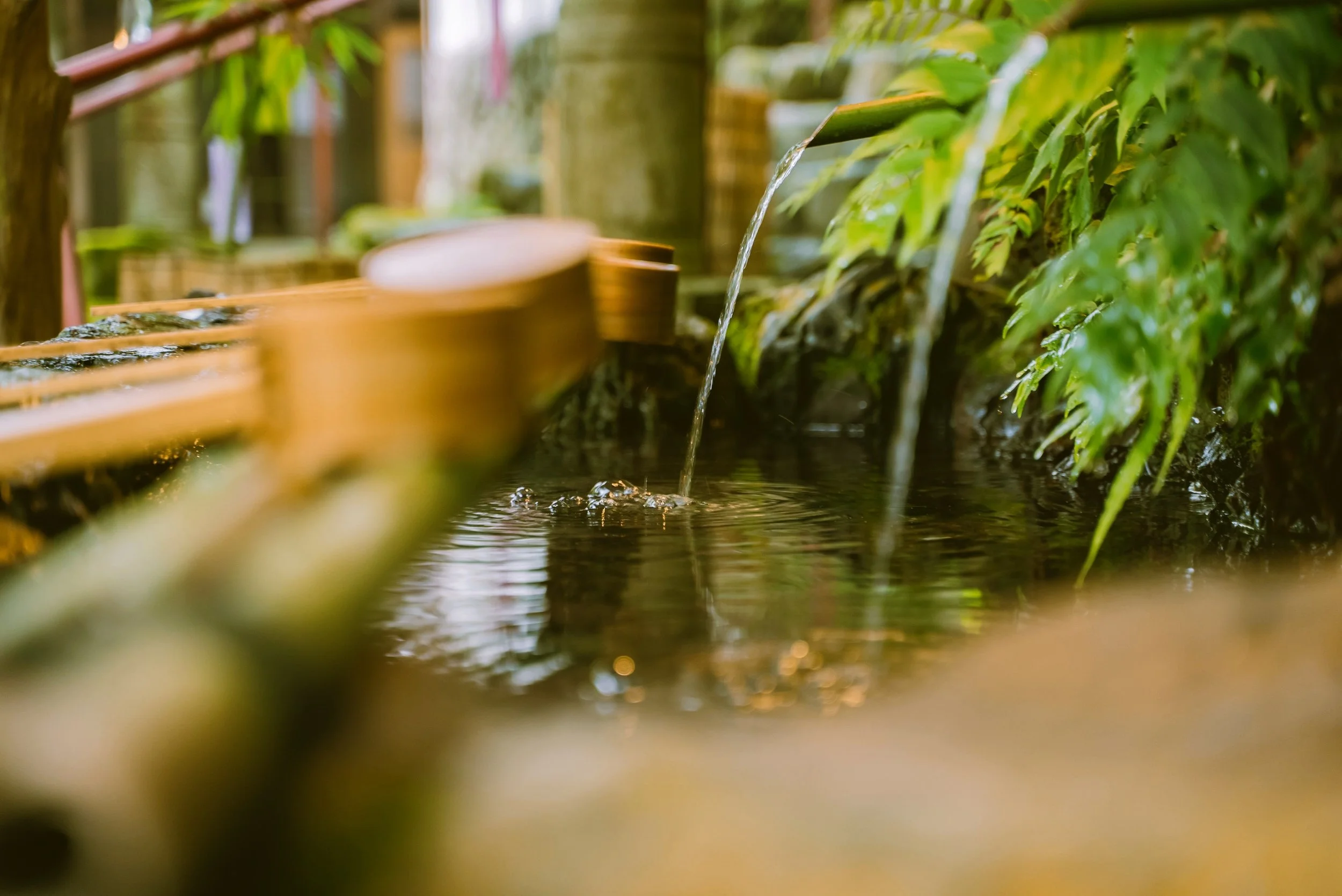 Bamboo water spout pouring into a stone basin surrounded by green leaves, Tokyo
