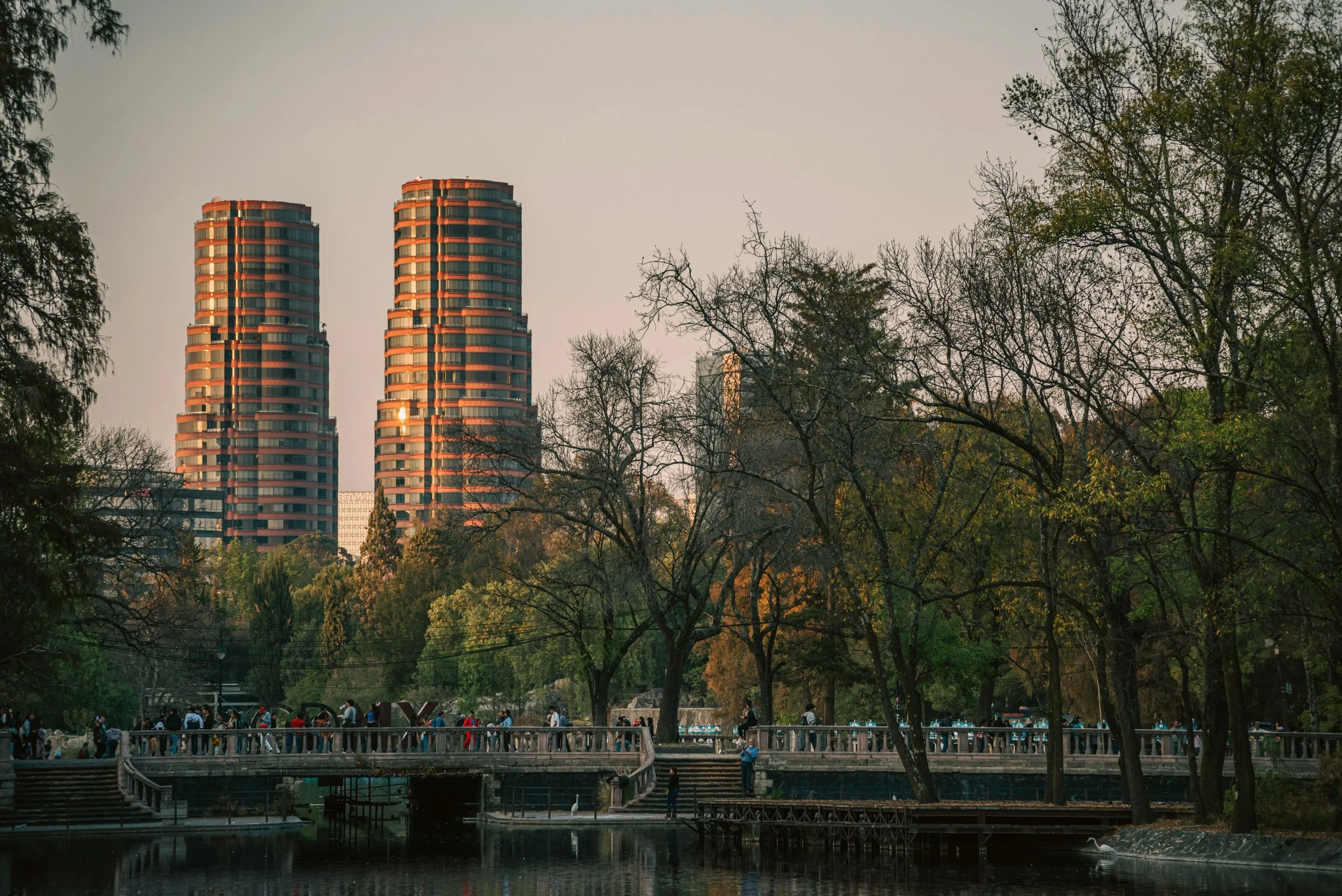 Twin skyscrapers rising above the trees and lake of Chapultepec Park, Mexico City.
