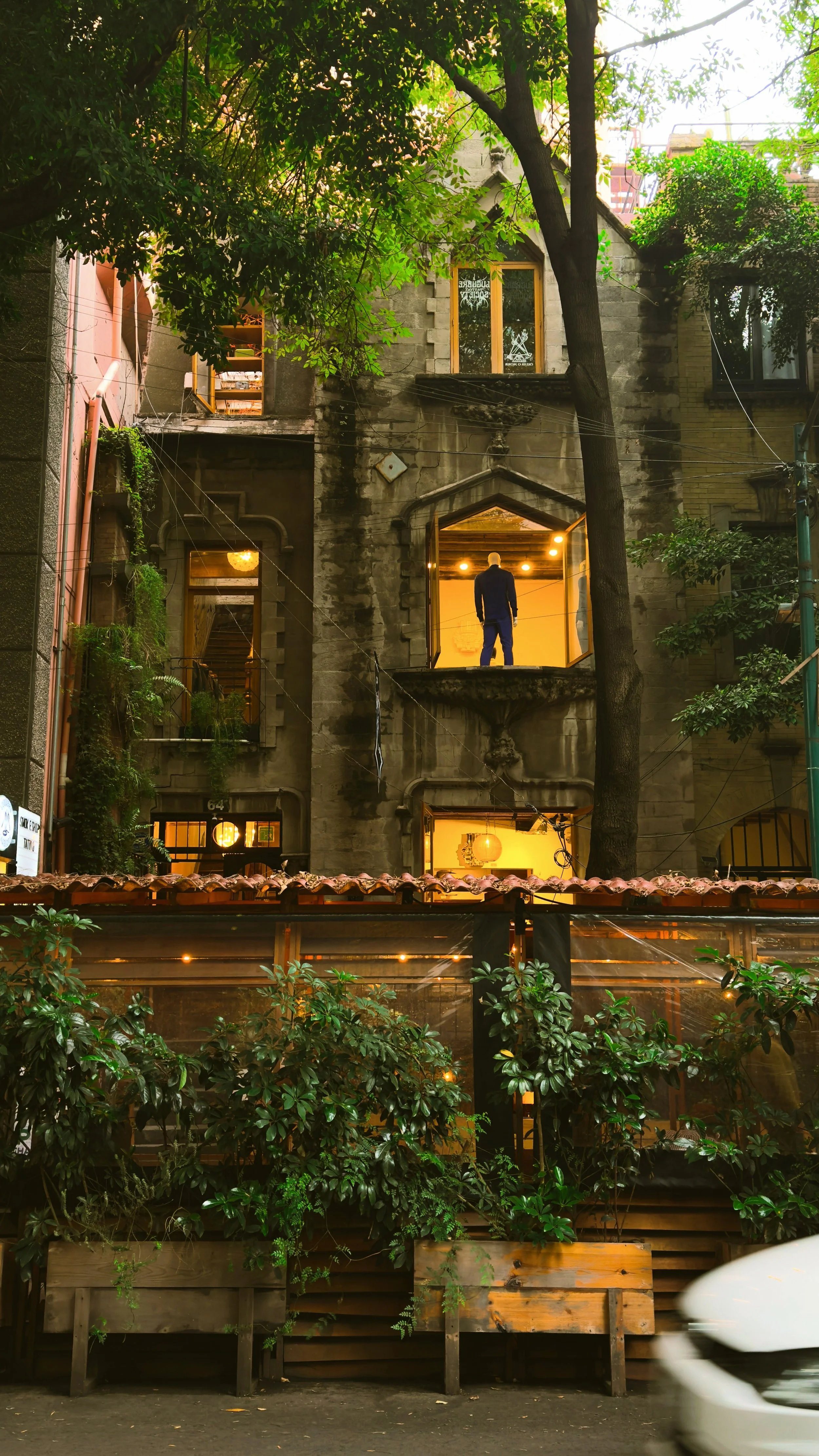 Restaurant terrace with warm lights among lush plants and greenery in the evening, Roma Norte, Mexico City.
