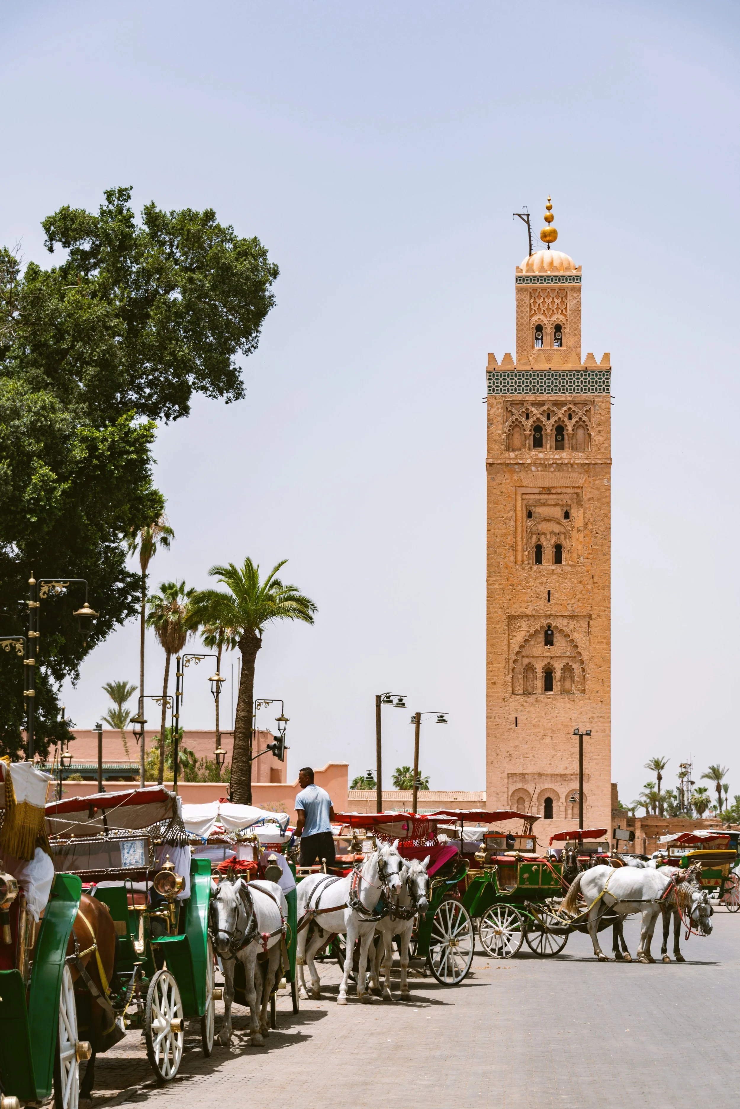 Koutoubia Mosque minaret rising above a tree-lined street, Marrakech.