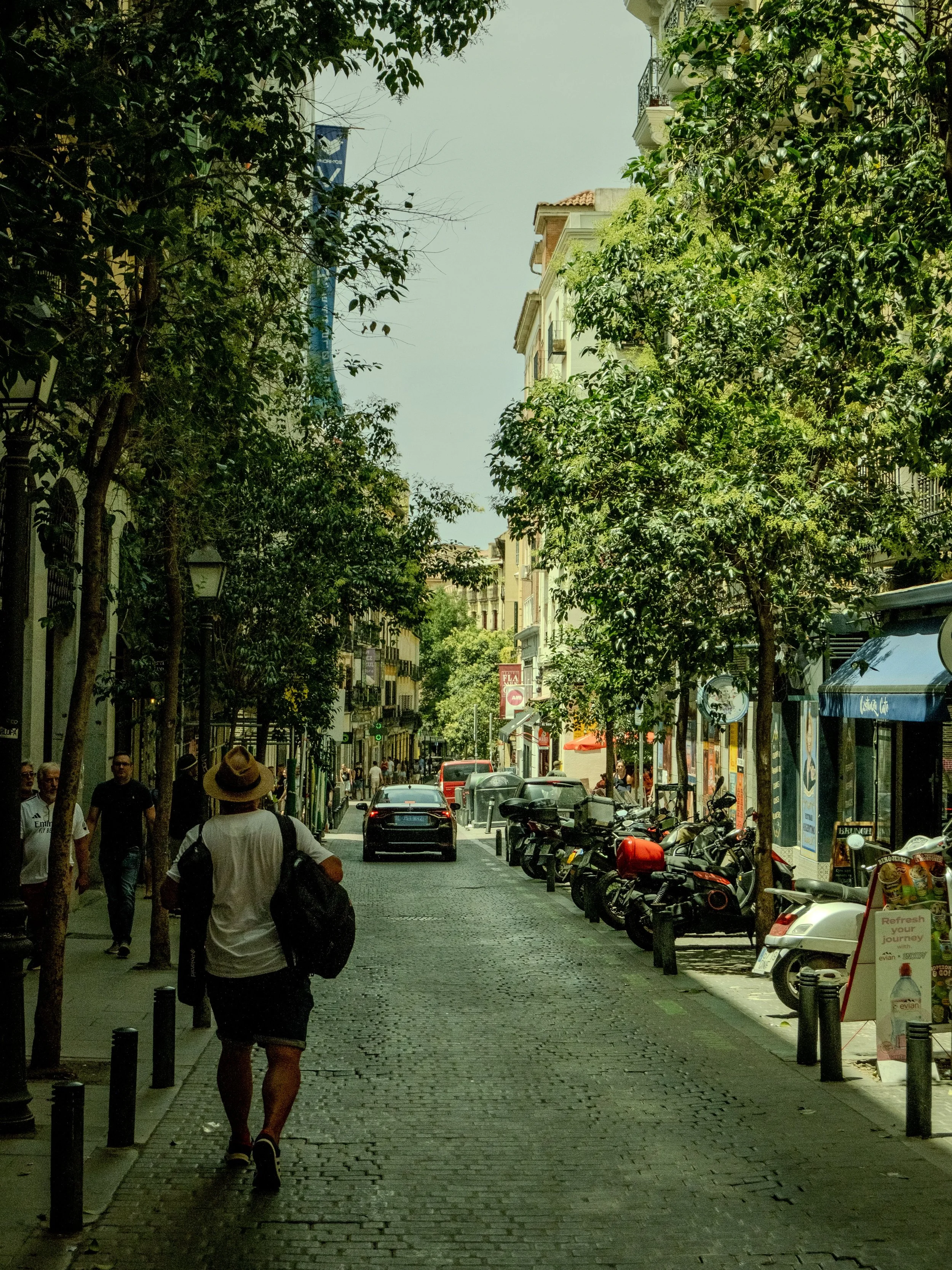 Leafy street with people strolling past cafés in Malasaña, Madrid