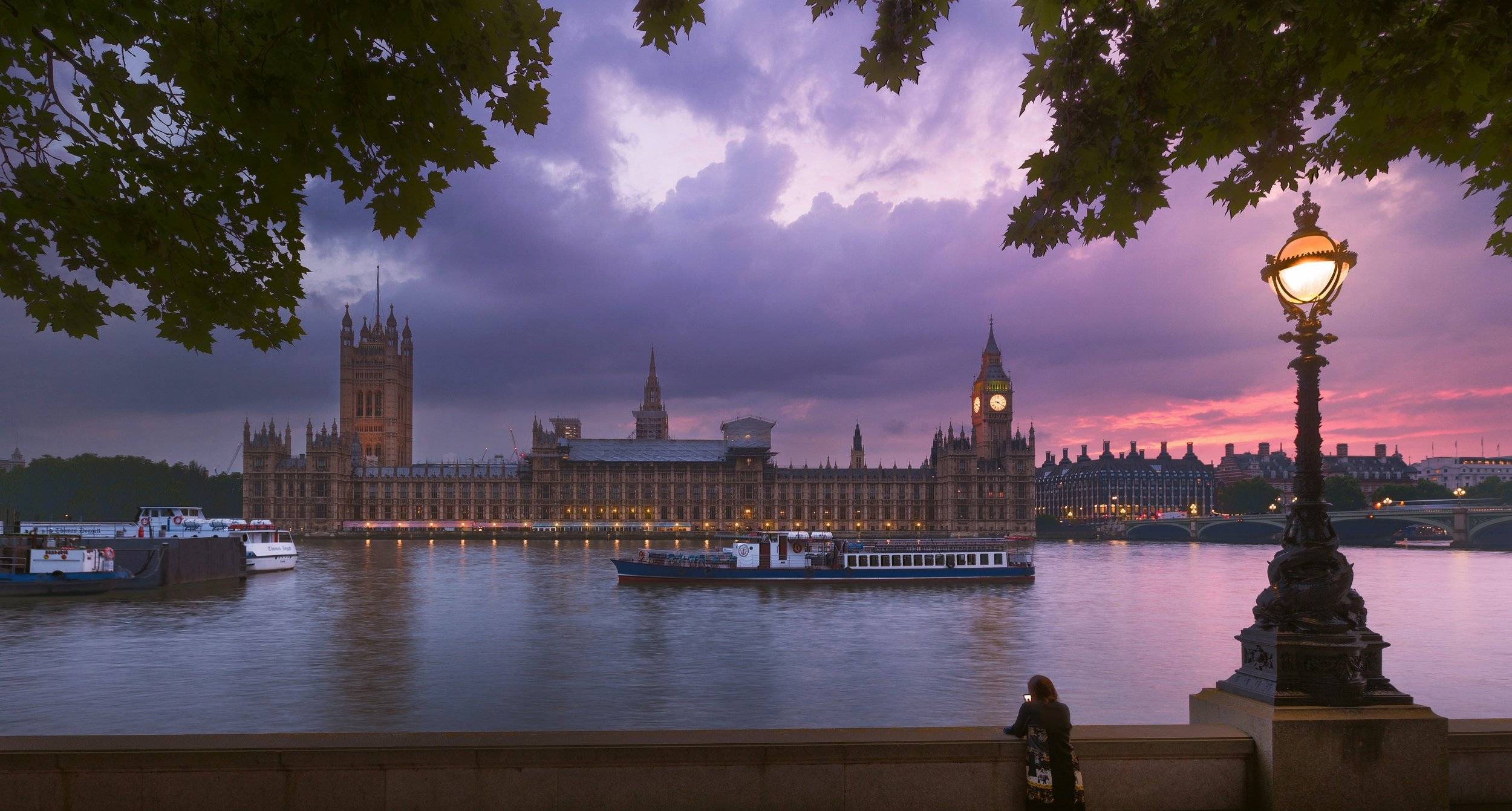 The Houses of Parliament across the River Thames under a purple dusk sky, framed by tree branches, in London.