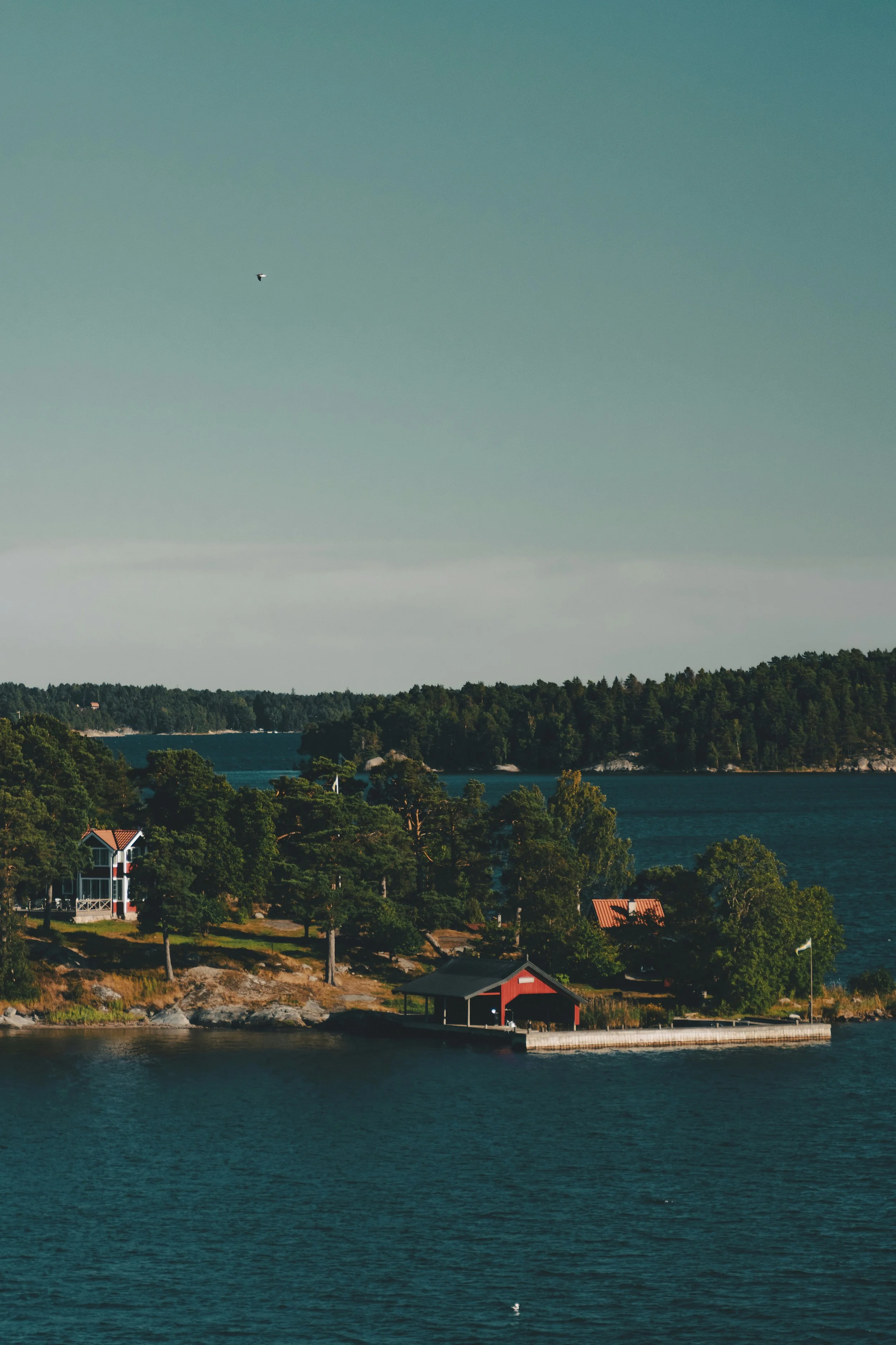Calm water and a rocky, tree-covered shore in the Stockholm archipelago