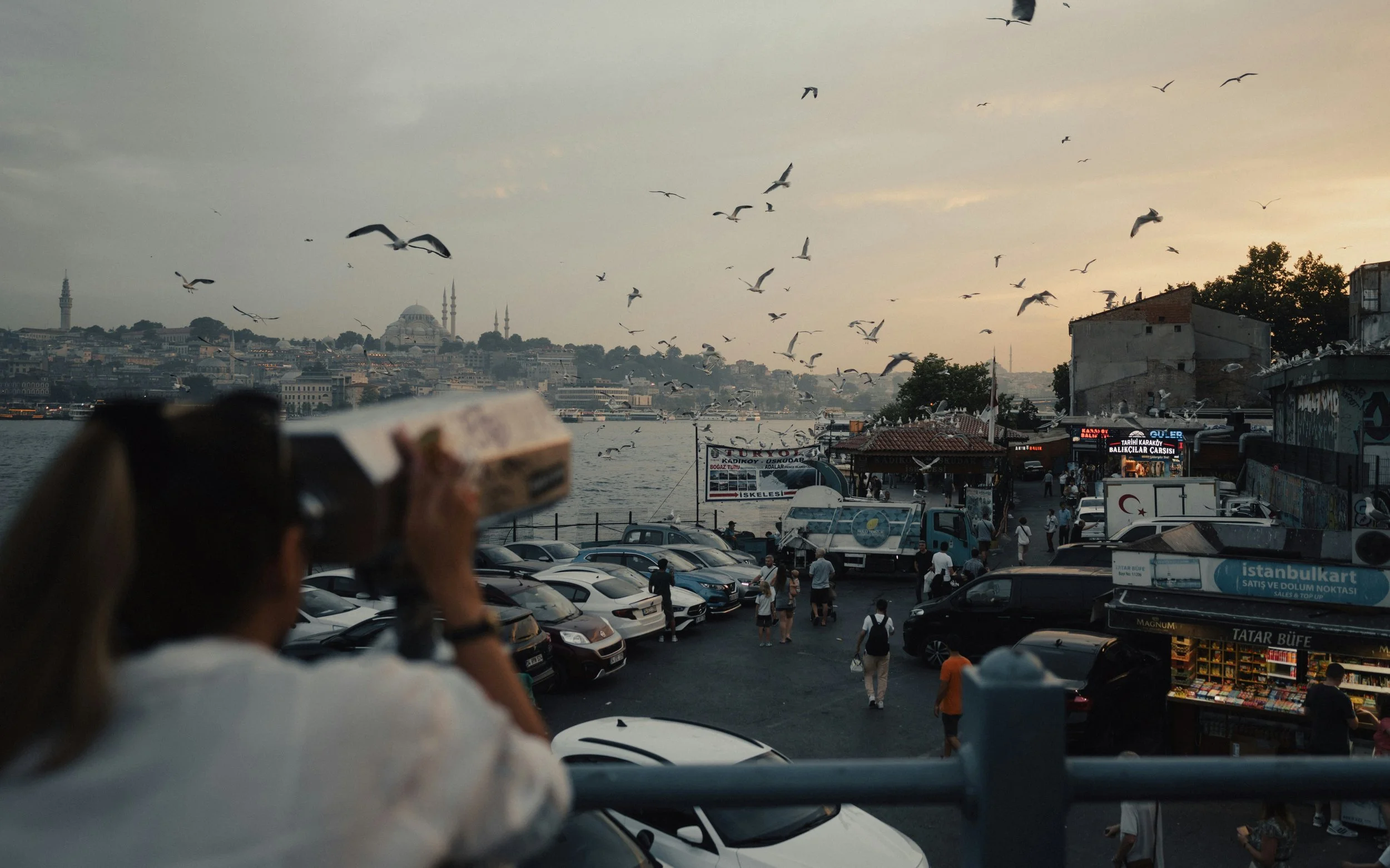 Person photographing seagulls over the harbor at dusk from Galata Bridge with the Süleymaniye Mosque in the background, Istanbul