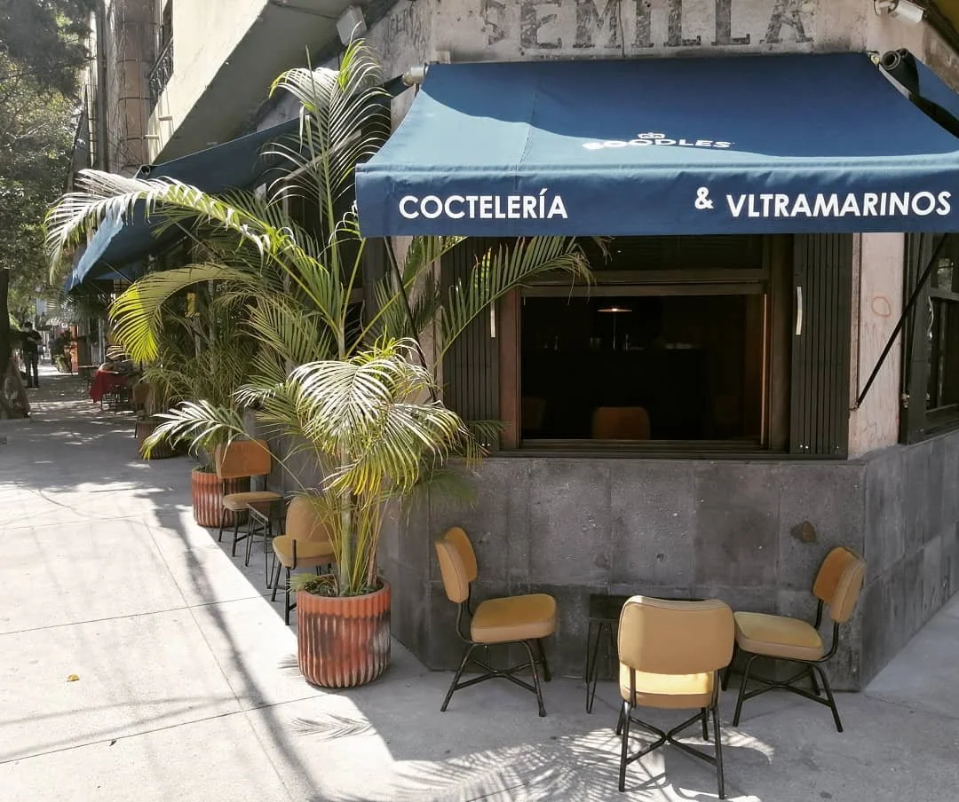 Bar Felina terrace with wooden chairs and potted plants under a blue awning, Mexico City.