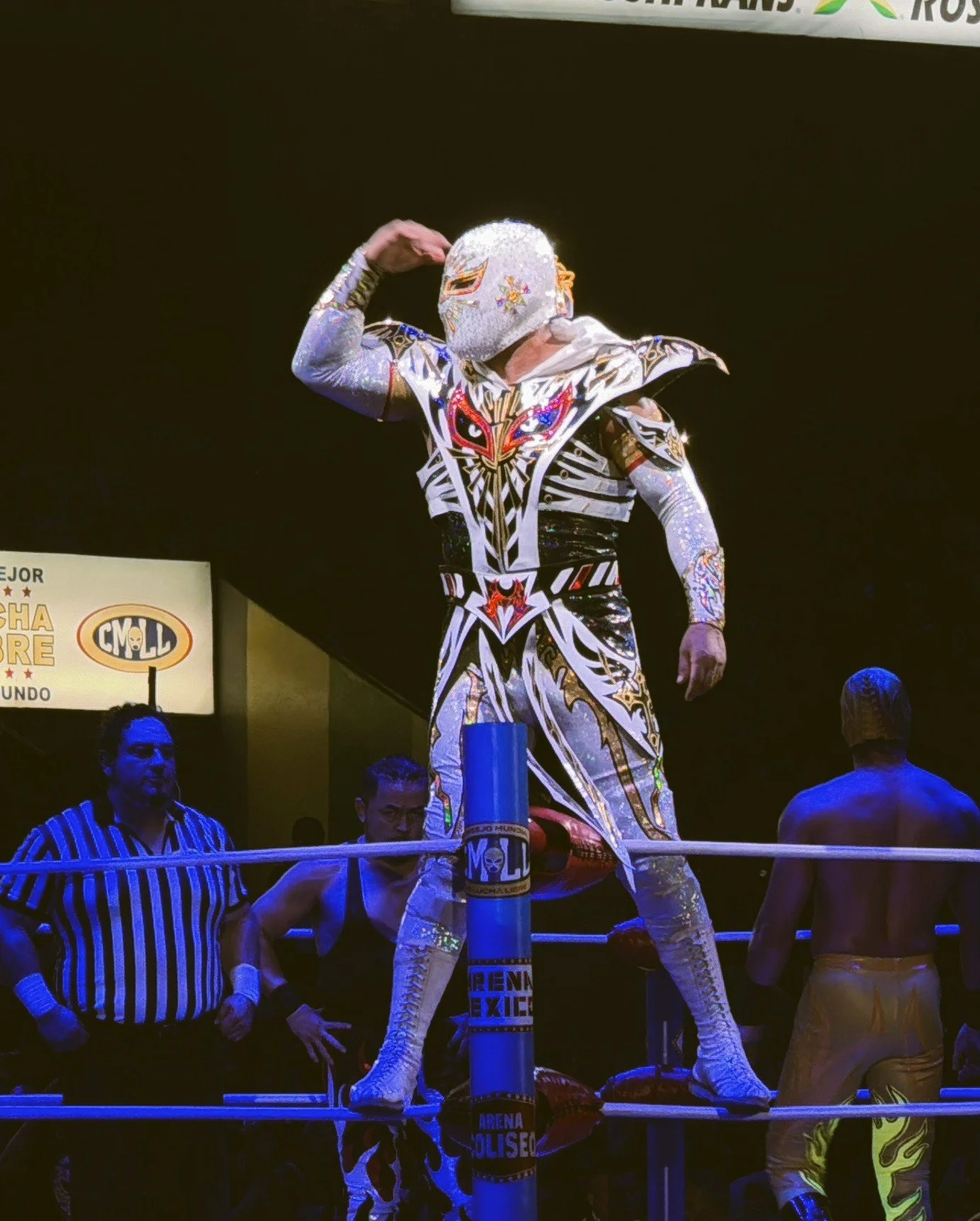 Lucha libre wrestler in a silver and red costume and mask posing on the ropes in a dark arena, Mexico City.