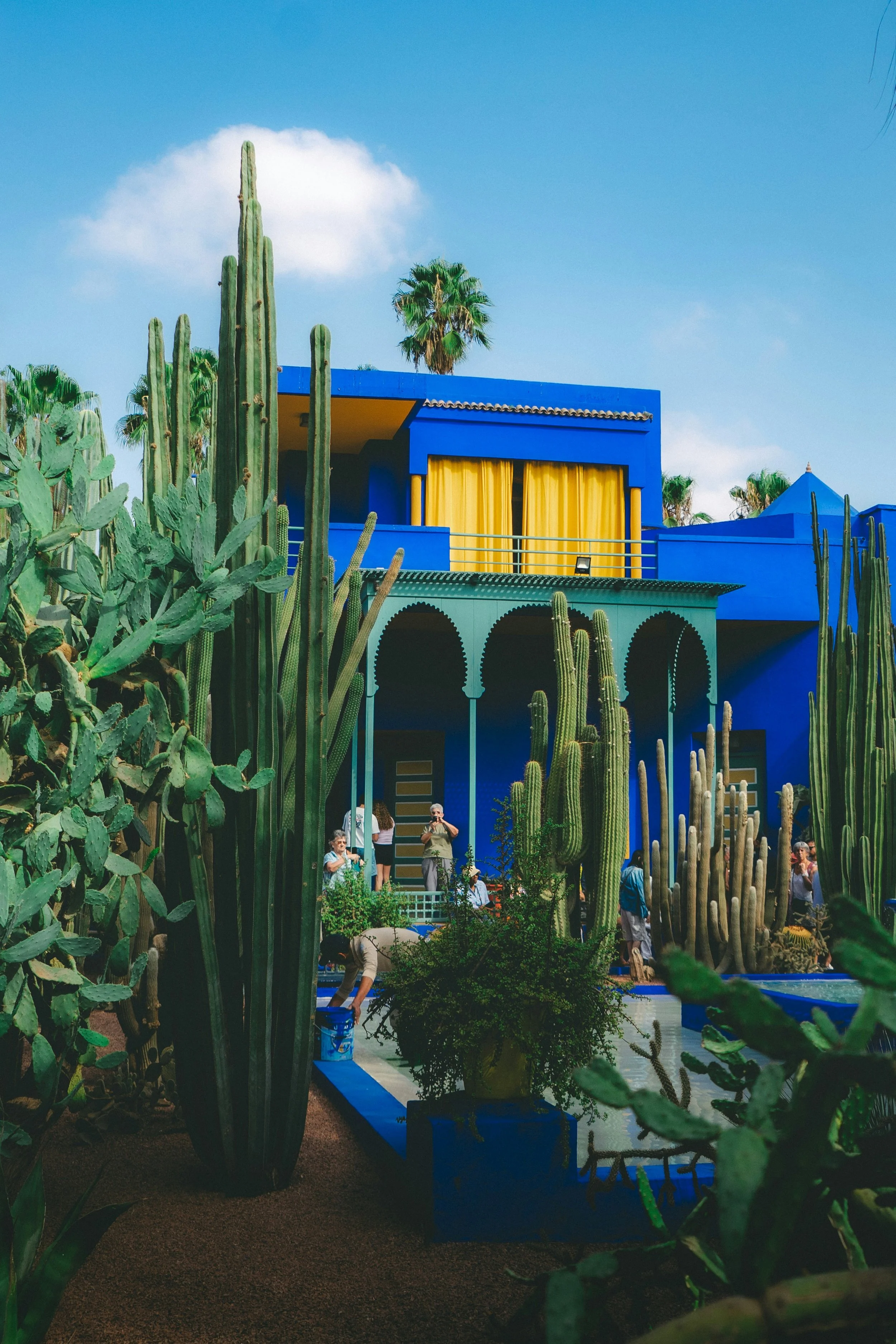 Cobalt-blue villa seen through cacti and palm trees under a blue sky, Jardin Majorelle, Marrakech.