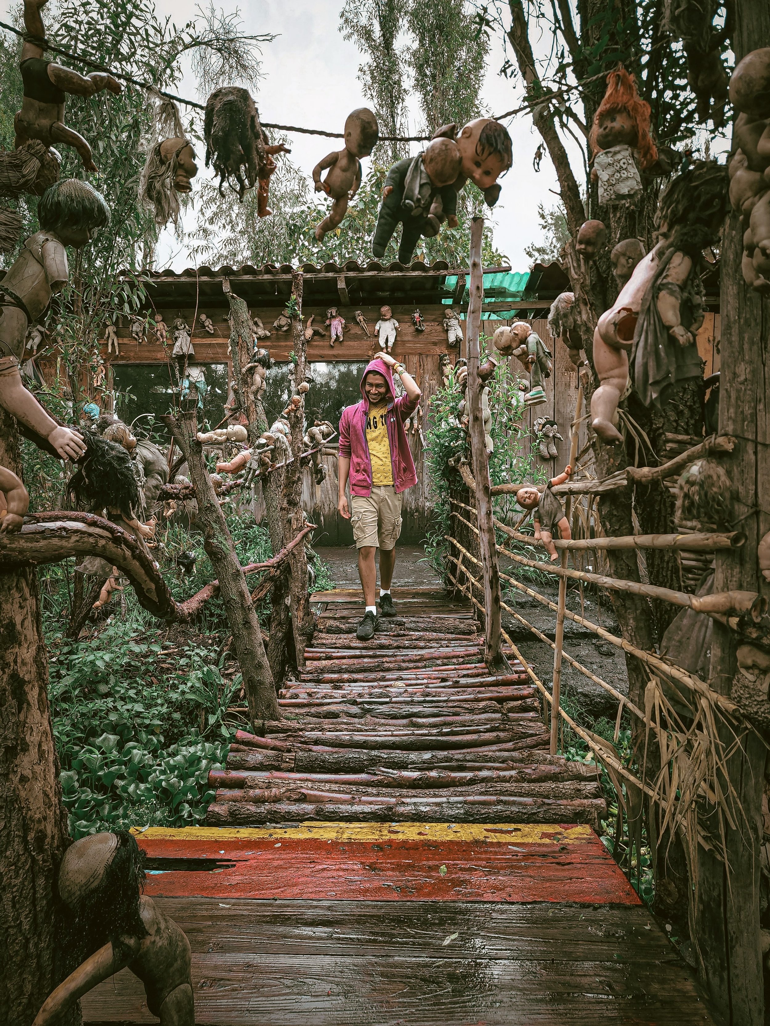 Wooden walkway lined with hanging dolls and dense vegetation, Isla de las Muñecas, Xochimilco, Mexico City.