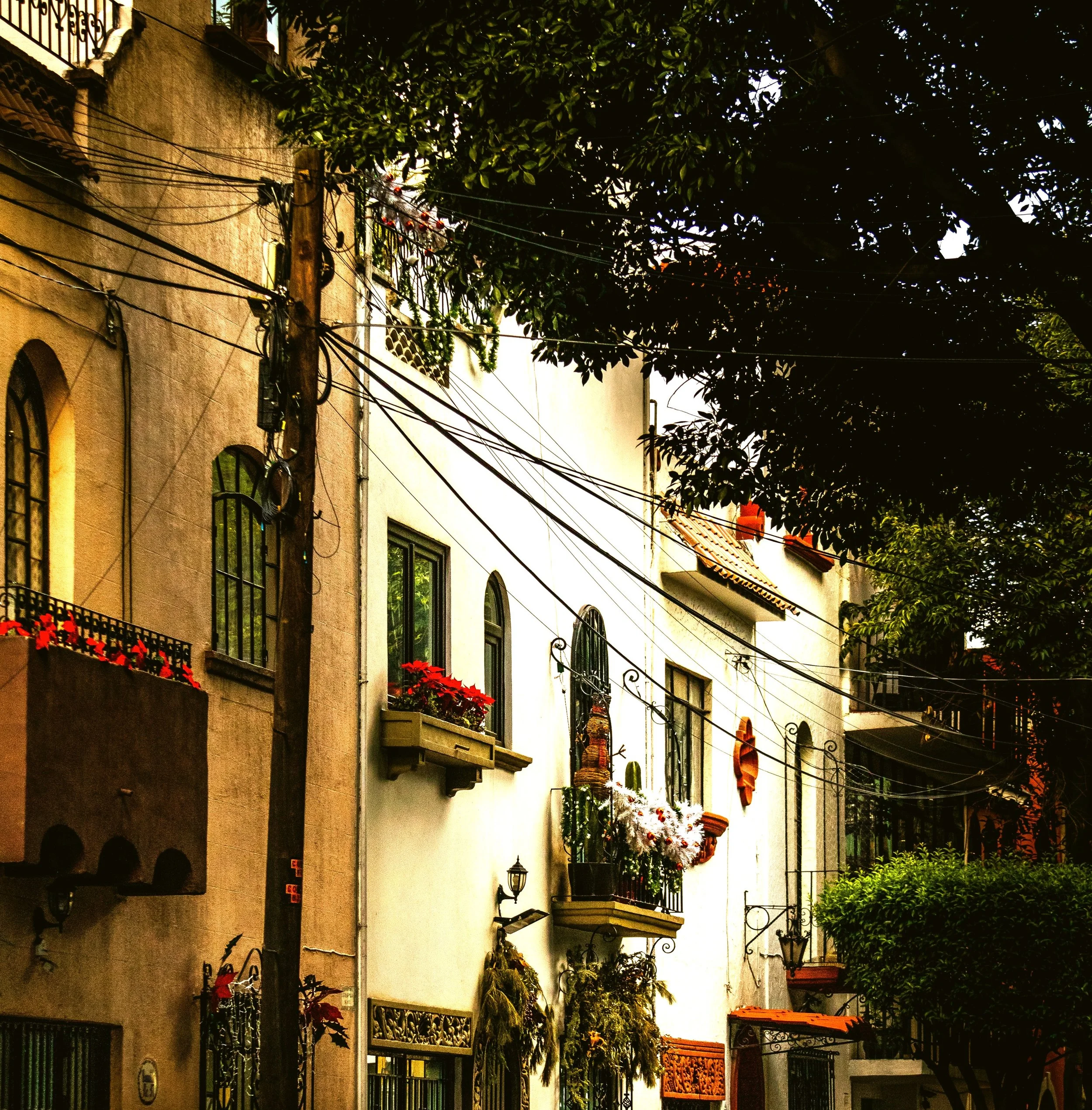 Street of pastel-colored buildings with balconies and trees, Mexico City.