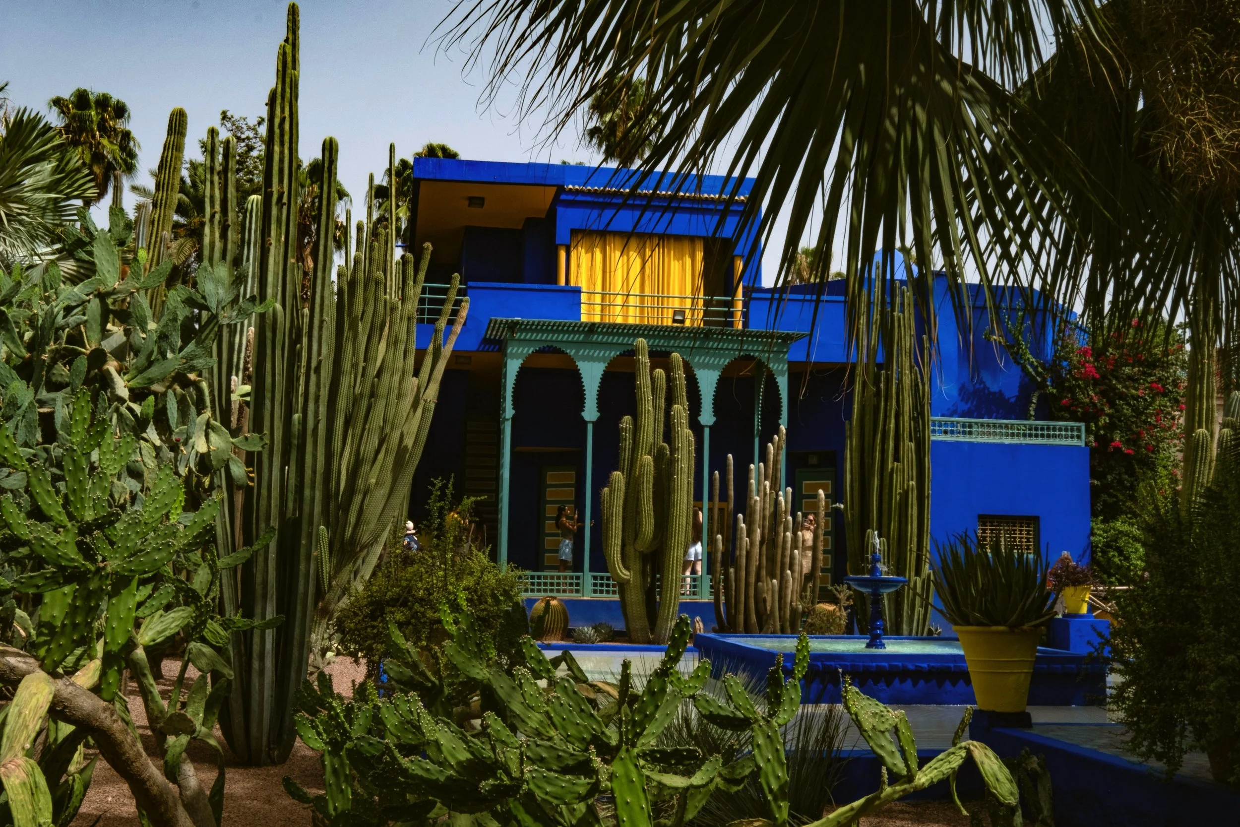 Cobalt-blue villa surrounded by cacti and palm trees, Jardin Majorelle, Marrakech.