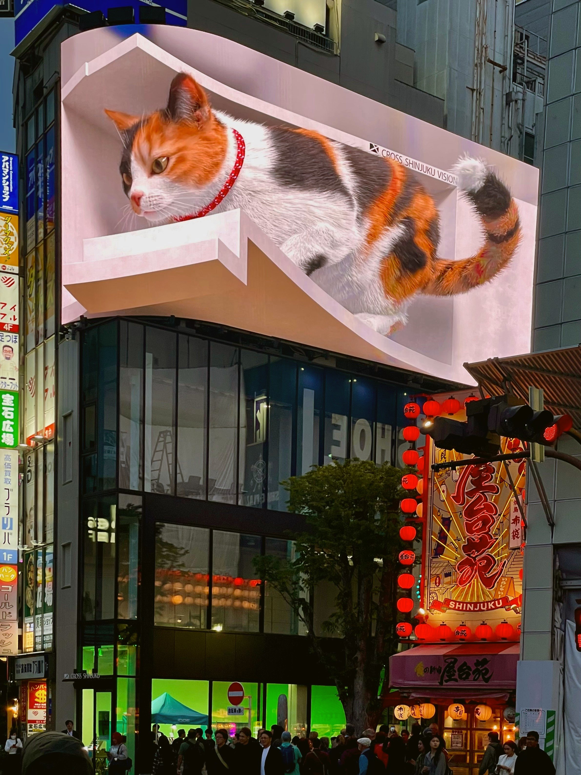 Giant 3D cat billboard above a building with neon signs at street level, Shinjuku, Tokyo.